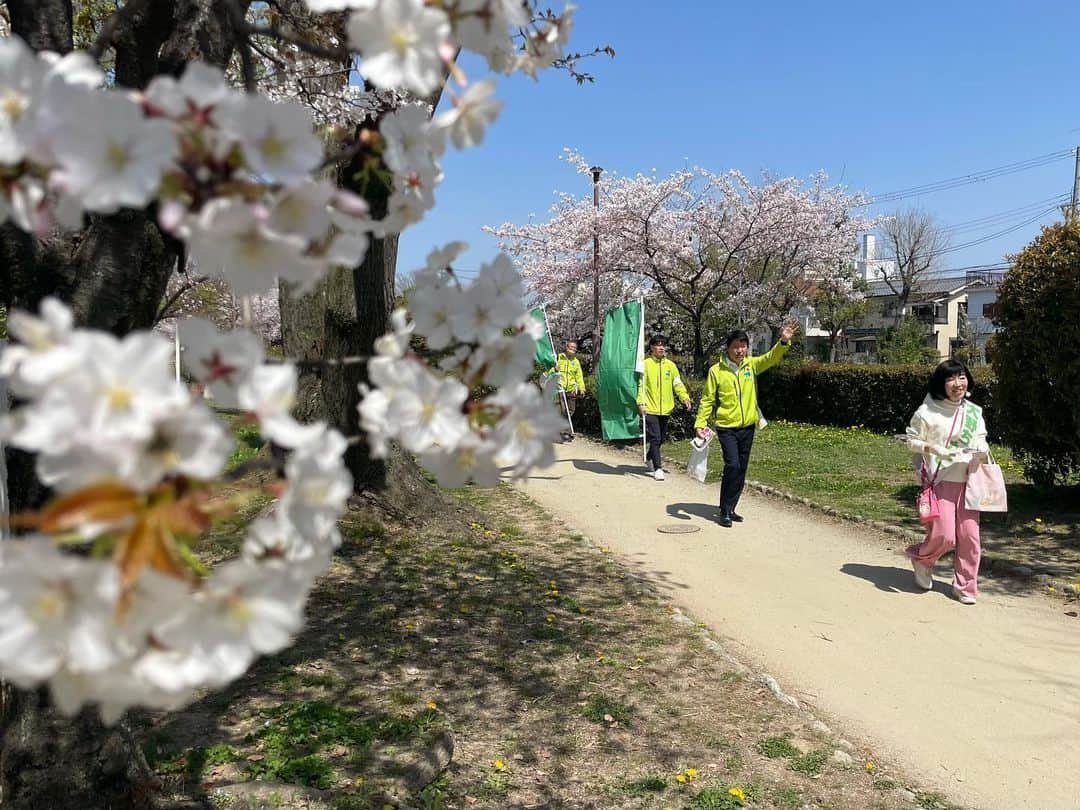 足立康史さんのインスタグラム写真 - (足立康史Instagram)「今日は、元茨木川の「さくらまつり」からスタート。家族やお仲間の楽しい　姿にこちらも幸せになりました！午後は池田、夕方は箕面。 茨木市 #大野ちかこ 候補 箕面市豊能町能勢町 #堀江ゆう 候補 池田市 #浦本ともえ 候補 の応援に駆け回ります！」4月1日 12時46分 - adachiyasushi