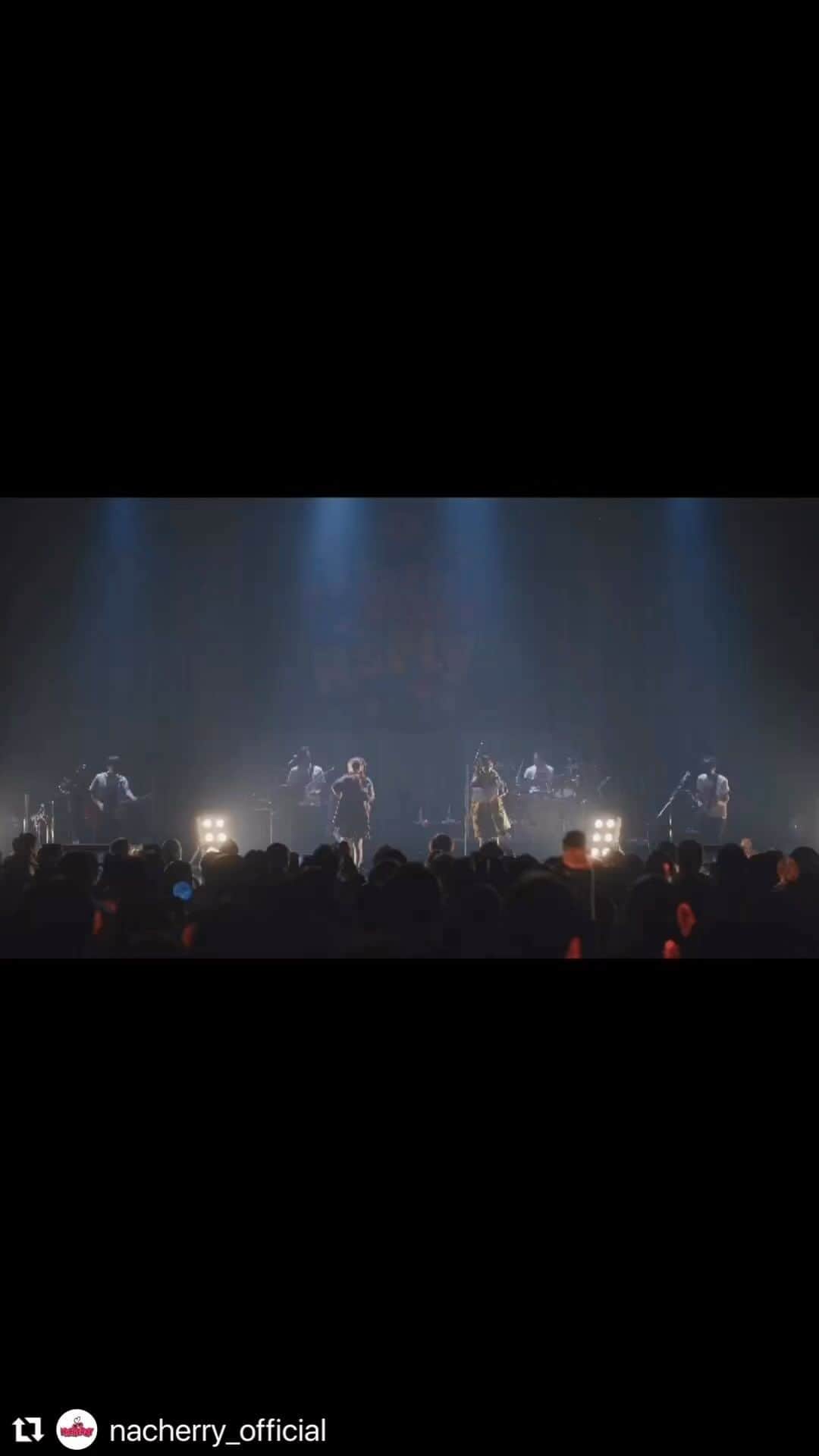 マシータのインスタグラム：「こちらドラムで参加させていただきました🥁⚡️ よろしくお願いします！  #Repost @nacherry_official  ・・・ 3/15(水)発売の #NACHERRY 初のライブアルバム、「1st Live Album “Let’s start the party!!” at KT Zepp Yokohama」のSPOT映像を公開しました👏🎉 みなさん是非チェックしてみてくださいね✨  ▼SPOT youtu.be/7OTcIsW52xk  ▼ご予約はこちら lnk.to/LACA-25042  #nacherry1stlive」
