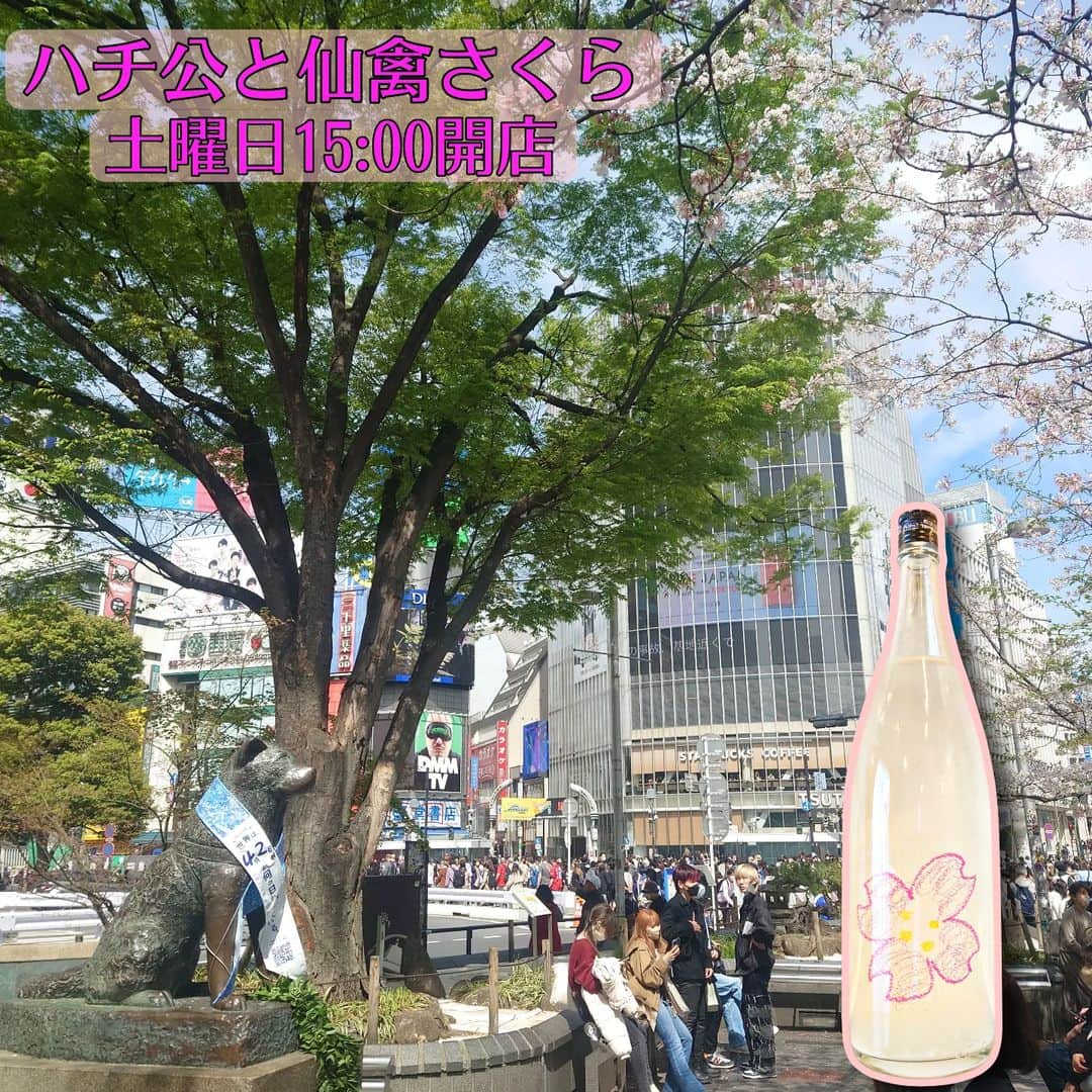 純米酒専門八咫 渋谷店のグルメインスタ