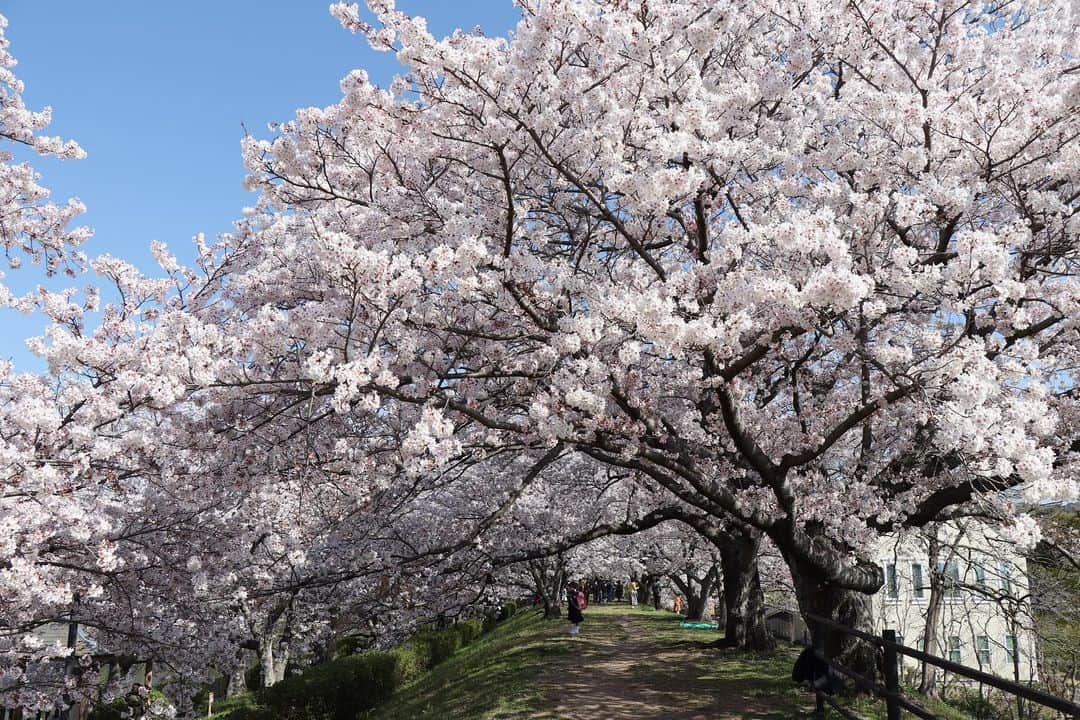 倉敷市のグルメインスタ
