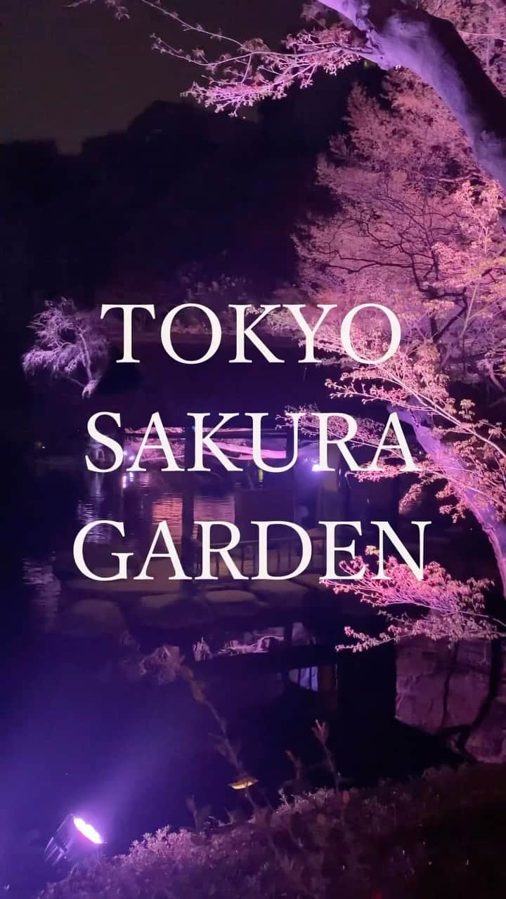 のインスタグラム：「TOKYO SAKURA GARDEN SPRING FESTIVAL 2023🌸 3/17 fri – 4/9 sun  週末限定で開催中の「白金横丁」🥂🌃 庭園内にてカクテルやお団子、肉まんをお召し上がりいただけます🍡  幻想的にライトアップされる春の夜。 贅沢な大人のひとときを八芳園でお愉しみください。  -———  TOKYO SAKURA GARDEN「白金横丁」🥂🌸  《開催期間》 3月24日（金）〜3月26日（日）、3月31日（金） 4月1日（土）、4月7日（金）～4月9日（日） ※４月2日（日）の開催はございません。  《開催時間》 17:00~20:30 (L.O.20:15)  《開催場所》 B1チャペルロビー、滝前(庭園内) ※雨天決行 ※予約不要  -———  《撮影日：3月17日(金)》  🌸🌸🌸  #TOKYOSAKURAGARDEN2023  #八芳園 #happoen #お花見 #桜 #日本庭園 #flowerstagram #夜桜 #夜桜ライトアップ #カクテル #白金横丁 #bar #映えスポット  #東京散歩 #東京カメラ部 #キリトリセカイ #イルミネーション #デート #ライトアップ #写真好きな人と繋がりたい #カメラ好きな人と繋がりたい  #japanesegarden #tokyotokyo #tokyotrip #japan_of_insta #jp_mood #dreamyphoto #wonderful_places #bestphoto_japan #japan_night_view」