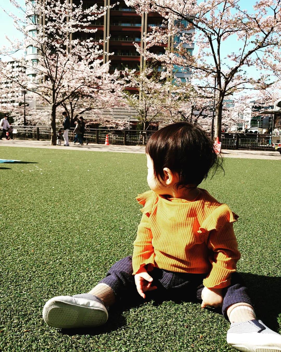 門倉貴史さんのインスタグラム写真 - (門倉貴史Instagram)「お花見日和🌸  #赤ちゃんのいる生活  #お花見 #おさんぽ」4月1日 13時10分 - takashikadokura