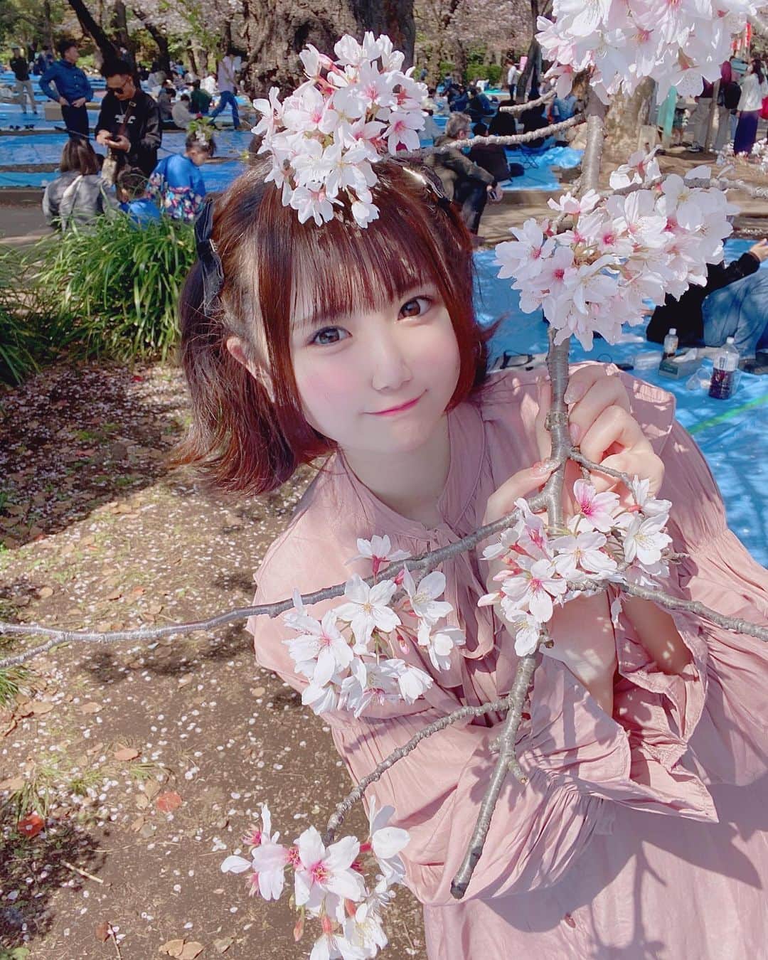 星川優夢のインスタグラム：「花より  ゆめか ？ 👶🏻🌸♡ . . . . . #instagood #お花見 #お花見コーデ #アイドル #ピンクコーデ #ヘアアレンジ #ハーフツイン」