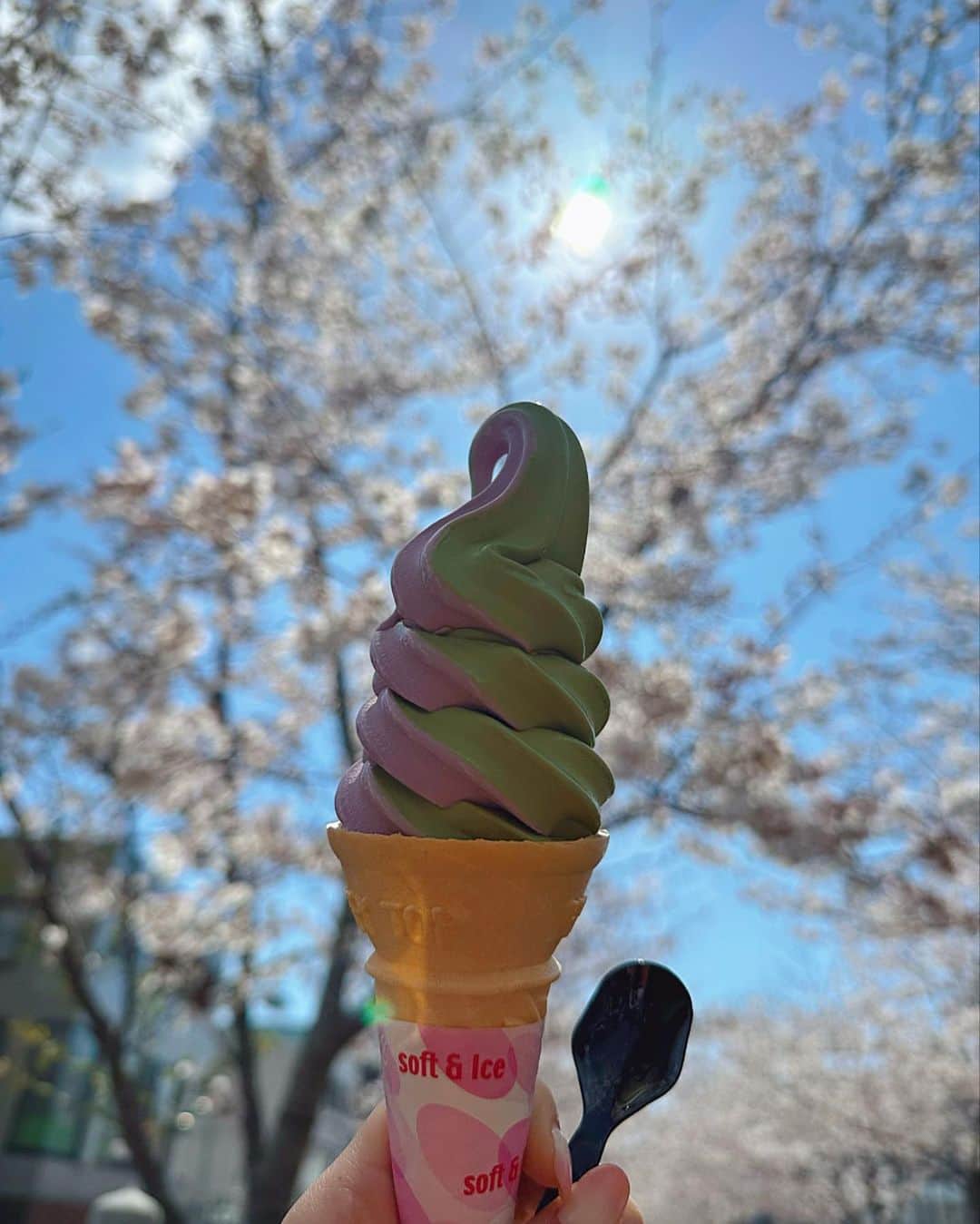 秋倉諒子さんのインスタグラム写真 - (秋倉諒子Instagram)「朝からドライブがてら江ノ島へ🏝 晴れ女パワーで神社へ行ってソフトクリーム食べて、 弾丸だったけど楽しかったぁ☺️🍦⛩ 桜も綺麗だった🥹🌸 #江ノ島」4月1日 13時27分 - ryokoak45
