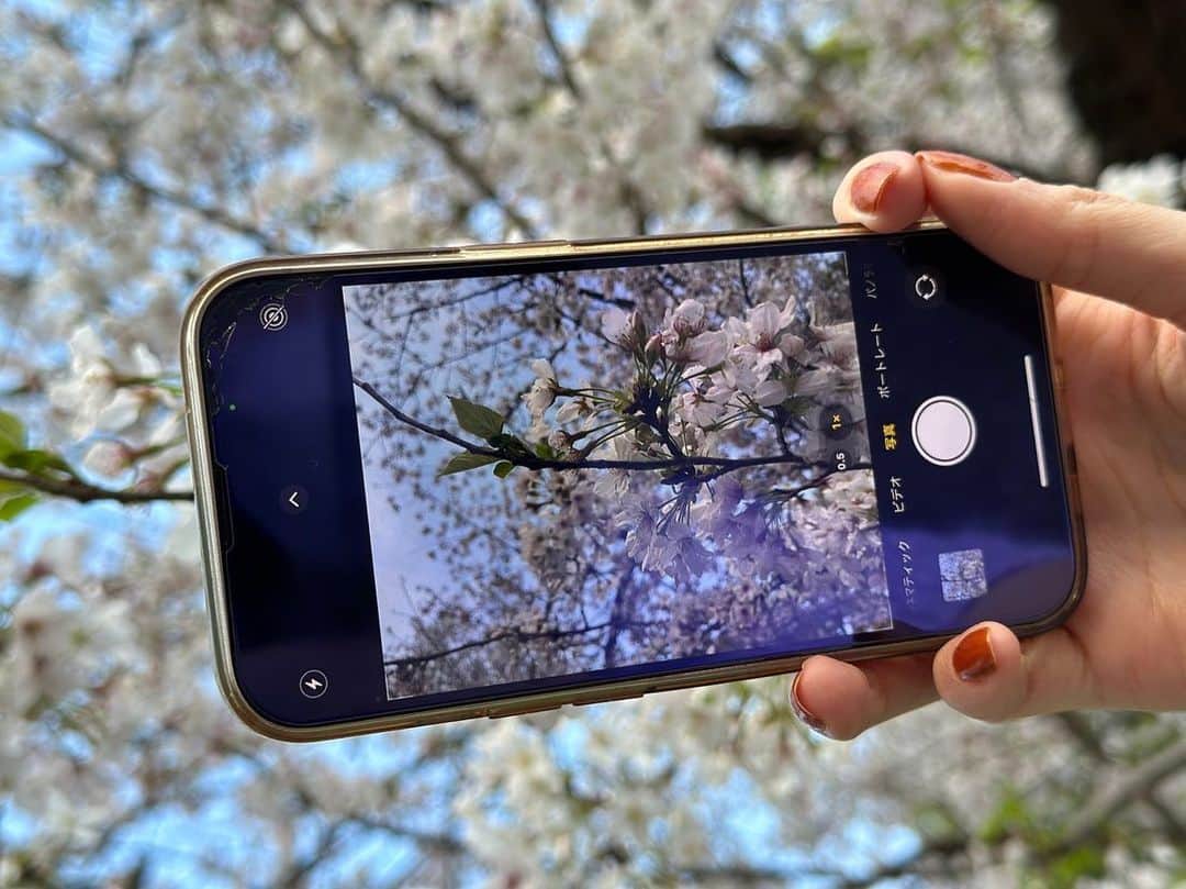 のインスタグラム：「画面割れてるのは気にしないで…  正確には保護フィルムが割れてるの…画面は無事なの…  　　　　　　　　　　　　　　　　　 　　　　　　　　　　　　　　　　 #さくら #桜 #花見 #お花見 #花 #お花 #春 #東京 #上野 #sakura #japan #tokyo #🌸」