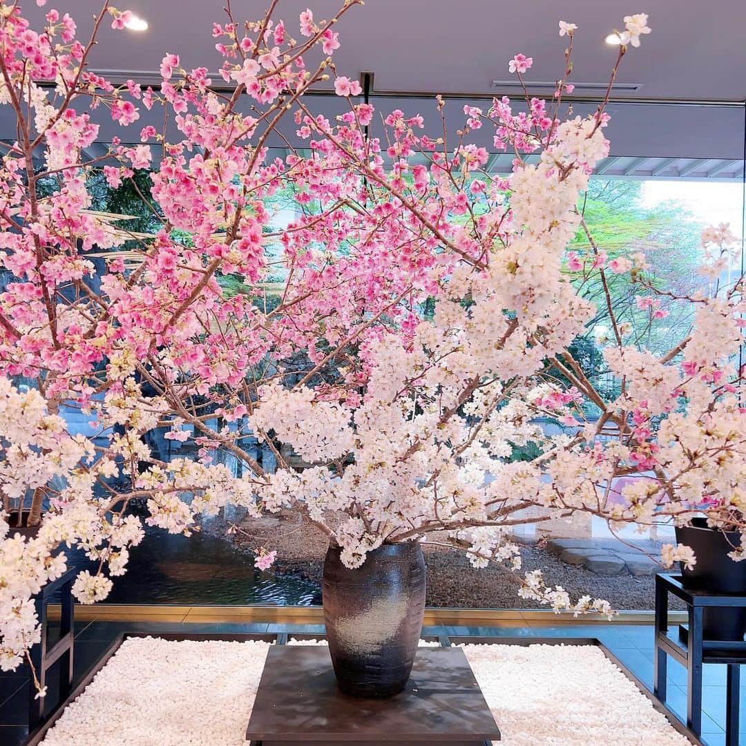 のインスタグラム：「皆さんこんにちは🌸 桜の季節ですね〜💗 ⁡ 地域によってこれから咲く場所や、もう咲き終わった場所、色々あると思いますが私の住んでいる地域では満開を迎えて散り始めています。 ⁡ 桜って咲いている時期が本当に短いのでもっと長く咲いてほしいな〜と思ってしまいますね。 でもこんなに綺麗な桜がずっと咲いていたらみんな見惚れて、何も手につかなくなって、仕事とか行きたくなくなってしまうかもしれないので逆に短くて良かったのかも、、笑🌸 ⁡ この春も皆さんにすてきな桜の思い出が出来ますように🌸💗 ⁡」