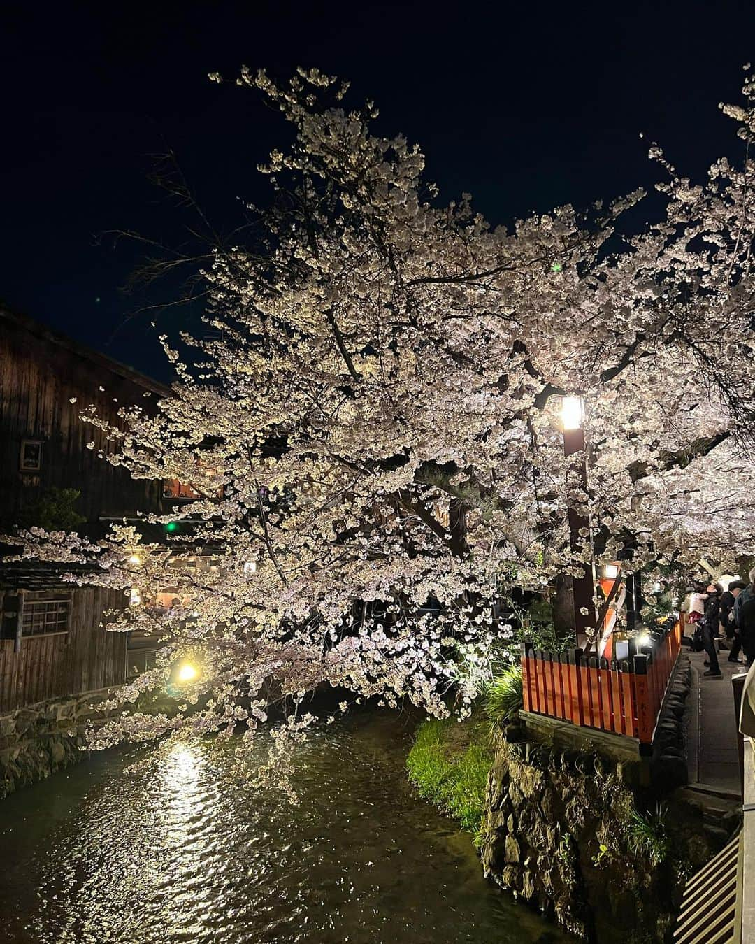 吉川亜樹さんのインスタグラム写真 - (吉川亜樹Instagram)「今日から新年度🌸スタート  春爛漫🌸　 各地で盛りとばかりに咲き誇ってますね✨  本格的に【芸能】と酒販などの【日本酒関連】の 二足の草鞋を履いて 仕事をさせてもらって1年  今年度から2年目になります⭐️  お陰様で周りに恵まれ 多くの方々に支えていただき 少しずつ目標をクリアして 前進してます🙇‍♀️  本当にありがとうございます❣️  今年度も【ワクワク】しながら 応援していただいている方々に 喜んでもらえるように ますます精進していきます🙇‍♀️  新たな事も考えているので また形になったら ご報告します🌸  いつもありがとう❣️ 感謝を込めて✨  P.S 新年度に向けて 気持ちを新たにマッシュヘアにしました🤣 きのこみたい🍄と言われますが 私は気に入ってます笑  #新年度 #ご挨拶 #感謝 #吉川亜樹」4月1日 13時51分 - yoshikawa_aki