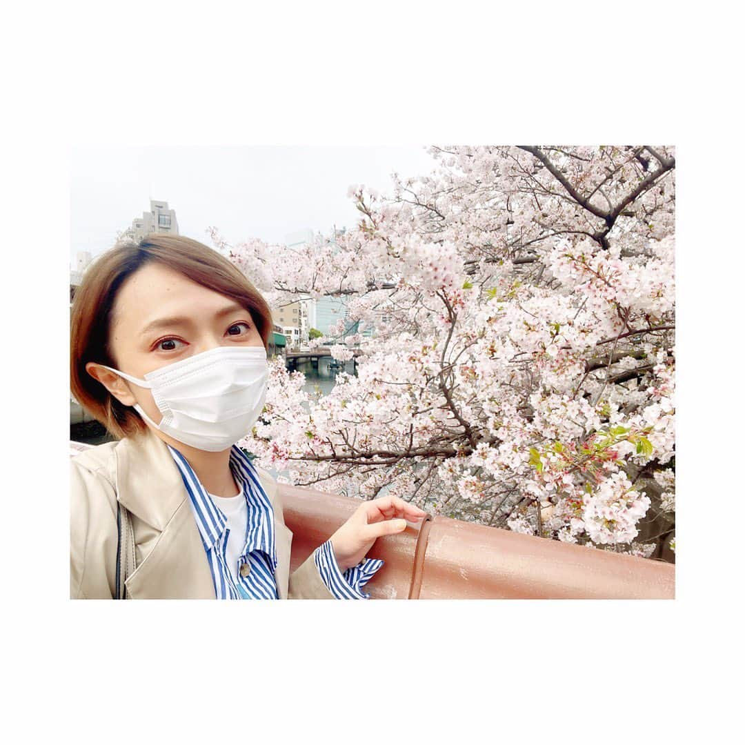 杜野まこさんのインスタグラム写真 - (杜野まこInstagram)「🌸4月🌸  お仕事帰りにお散歩。 大岡川の桜　綺麗だったな〜✨ ちょっと寄り道しただけでもすごくリフレッシュになった❣️ 感謝🙏✨  今日から4月・新年度ですね☺️ 新たな心で晴れやかに たくさんの笑顔と出会っていけますように✨✨✨✨  ここからますます幸あれ♡  #4月 ＃桜 #神奈川 #大岡川 #自然パワー #リフレッシュ #お散歩 #新年度  #心 #晴れやかに #新たなスタート #幸あれ  #japan #kanagawa #beautiful」4月1日 13時51分 - makomorino