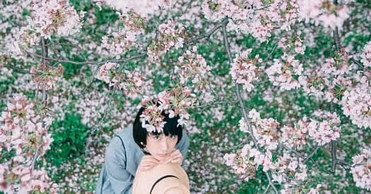 椎名琴音さんのインスタグラム写真 - (椎名琴音Instagram)「桜のち晴れ🌸  今日はぽっかぽか 半袖で家出ました！ 良い休日を🌸」4月1日 13時55分 - sheena_cyborg_fourandahalf