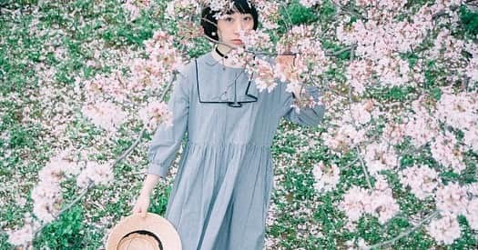 椎名琴音さんのインスタグラム写真 - (椎名琴音Instagram)「桜のち晴れ🌸  今日はぽっかぽか 半袖で家出ました！ 良い休日を🌸」4月1日 13時55分 - sheena_cyborg_fourandahalf