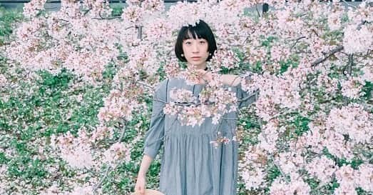 椎名琴音さんのインスタグラム写真 - (椎名琴音Instagram)「桜のち晴れ🌸  今日はぽっかぽか 半袖で家出ました！ 良い休日を🌸」4月1日 13時55分 - sheena_cyborg_fourandahalf