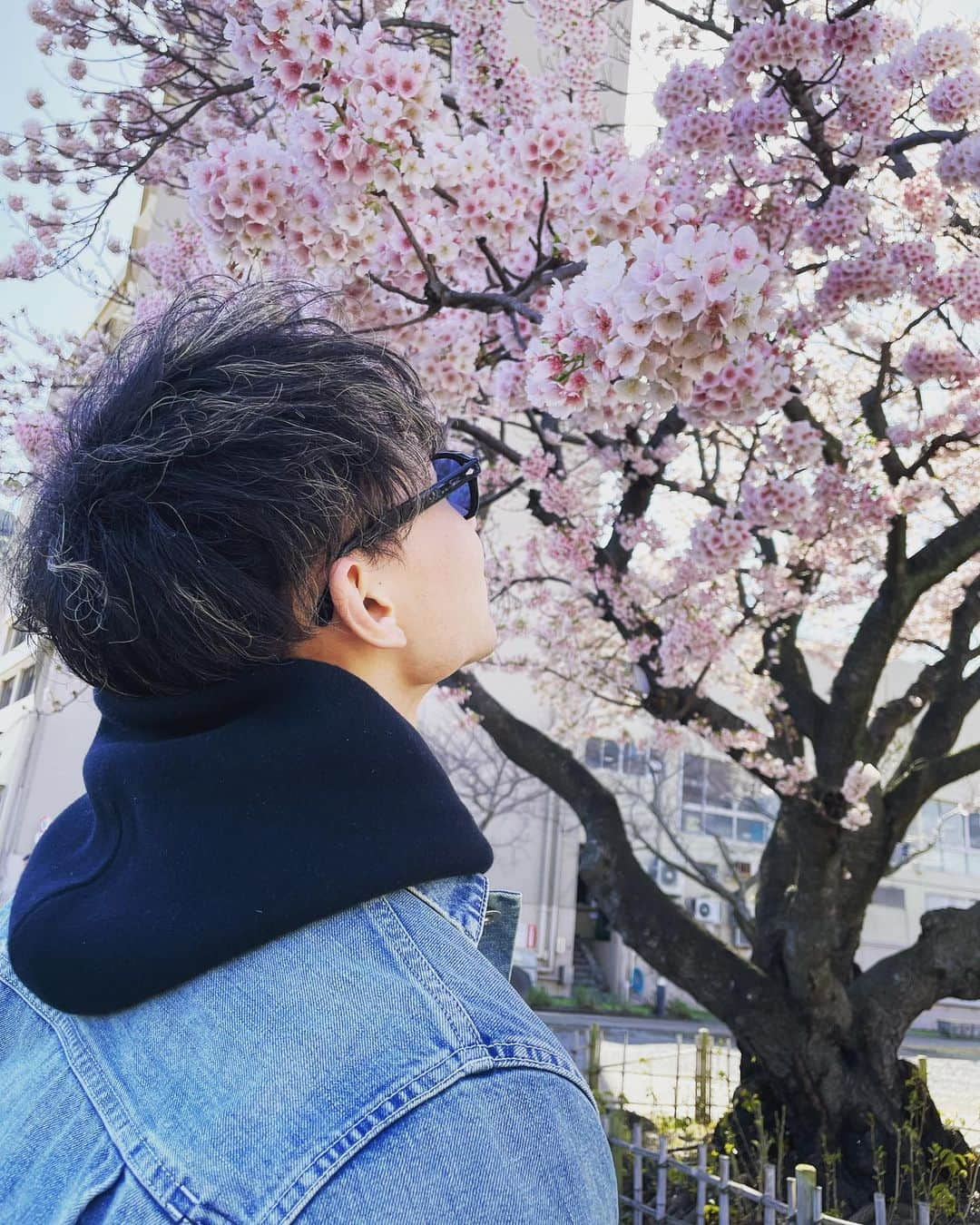 西藤俊哉さんのインスタグラム写真 - (西藤俊哉Instagram)「SAKURA🌸 Hello, April.  The preparation period before the most exciting season.  今日から4月！ 最高にワクワクするオリンピックレース前の準備期間！選択と納得と充実を重ねられるように！  所属先 #株式会社セプテーニホールディングス   個人スポンサー @morinagatraininglab  @norqain_japan  @japanairlines_jal  #MARUDA #ミカドテクノス #KOA  @gen_san.sw  #アグリーナ　 #那須屋興産  協会スポンサー #突け心を #fencing #フェンシング #JAL #NISSAN #SLcreations #キンライサー #KOWA #やまや #長谷工グループ #トレンドマイクロ #三洋紙業  #デサント #GTEC #協和発酵バイオ  #プロパティーエージェント #共同カイテック #うなぎ四代目菊川」4月1日 13時58分 - fen_0529toshi