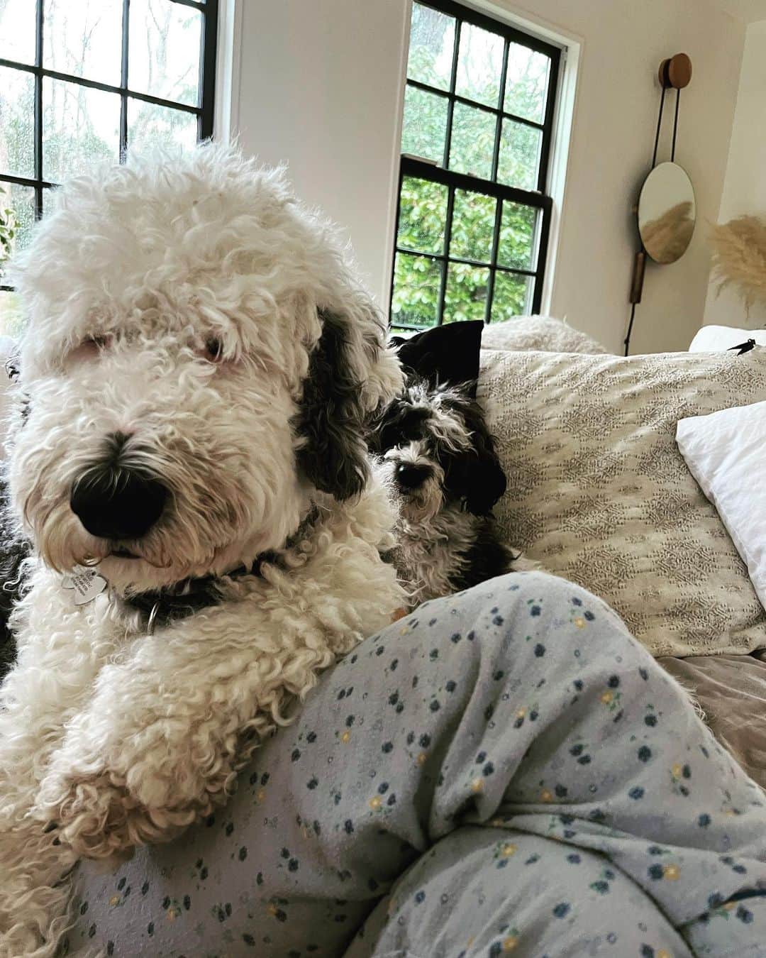 ジェニファー・エスポジートのインスタグラム：「Saturday.  I’m under there somewhere.」
