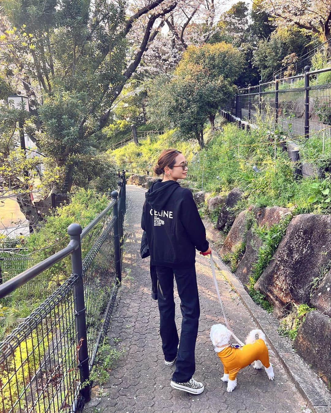 本多末奈のインスタグラム：「今日は思いつきでお花見散歩🌸🍡  もう満開！もしくは散り始めだったけど とても綺麗でした✨ お散歩コース以外のお散歩久しぶりで 楽しかったね🐶♡  初卸の @hereiam.official のメッシュバッグが 小さいのにたくさん荷物入るし とても軽くて最高でした👜♪ これは重宝します❤️‍🔥  今日エイプリルフールなのに 嘘つくの忘れたなぁ〜、、🤥  #お散歩コーデ #お花見散歩 #メッシュバッグ #犬のいる暮らし #ブラックコーデ  #helloapril #celine #doglover #doglife #hereiam #blackcode #levisjeans #converse」