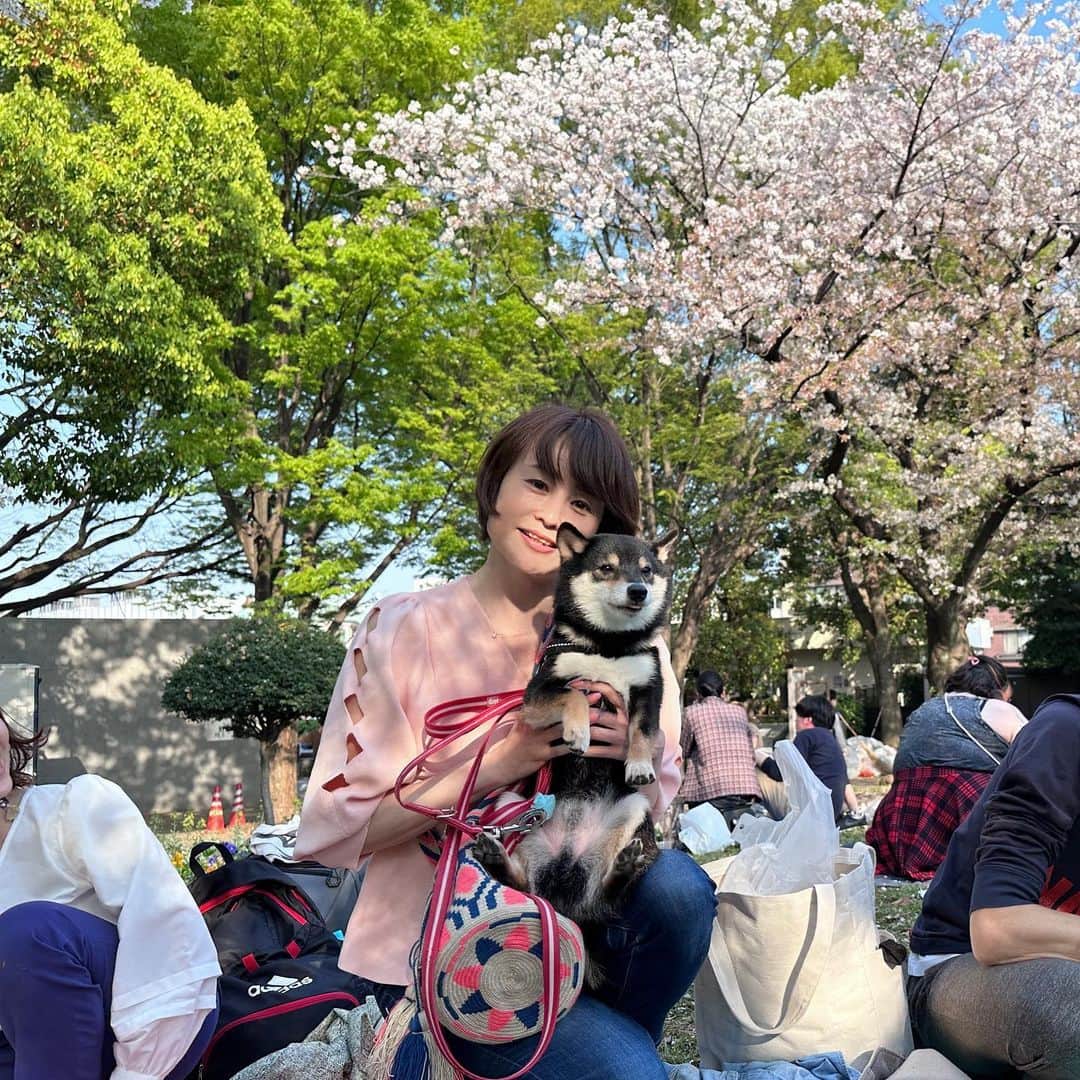 岩瀬玲のインスタグラム：「お友達がお花見をしてるというのでサブと♥️  でも忙しいから 15分しかいられず🥲🥲🥲  久しぶりに会ったのに 残念  もう桜もおわりですかねー  #お花見 #久々」