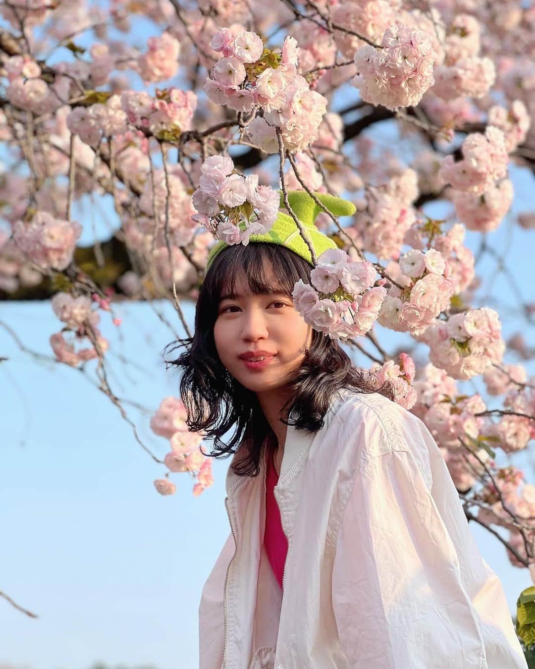 山口めろんさんのインスタグラム写真 - (山口めろんInstagram)「桜とても綺麗(●^▽^●)/」4月1日 23時41分 - memememelonchan