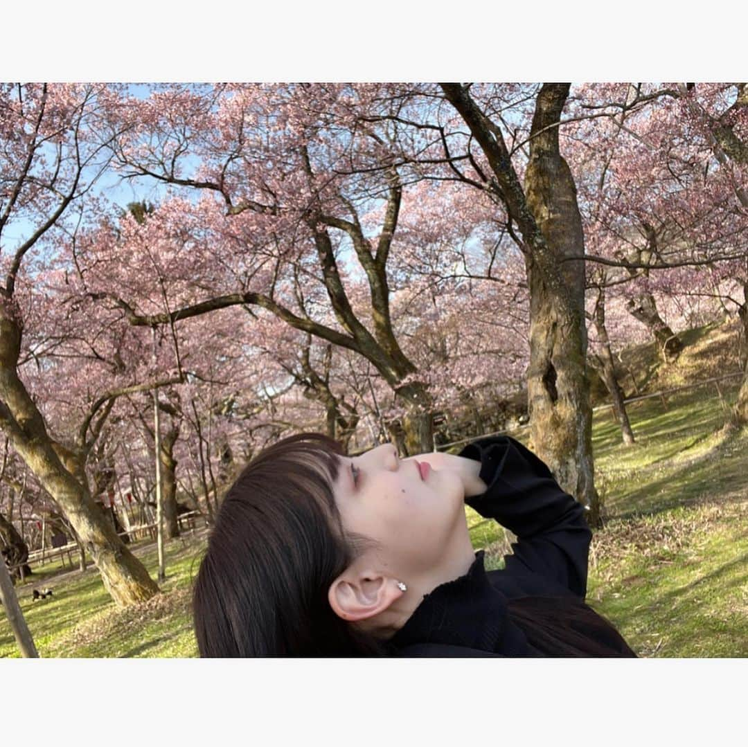 園田あいかさんのインスタグラム写真 - (園田あいかInstagram)「🌸𓂃𓈒𓏸︎︎︎︎⁡  長野県の高藤城址公園 行ってきました  こんなに満開の桜を 見た事が無かったので 感動でした … ❁⃘𓈒𓏸」4月1日 23時45分 - for__offwhitey_9