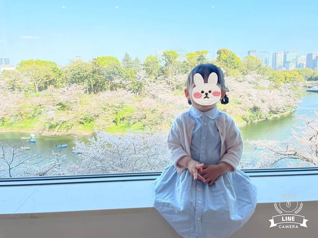 英玲奈のインスタグラム：「#家族とお花見 夫は出張中につき残念ながら不参加でしたが、 今日は義家族とお花見でした🌸 娘は桜が大好きで、 車の中からもお散歩中も、 桜綺麗ねー❤️と毎日言っています😊 初めて一緒にライトアップされた夜桜も見られたね！  #娘#daughter#2歳4ヶ月#女の子ママ#girlmom#女の子ベビー#girlbaby#親バカ部#毎日が特別#赤ちゃんのいる生活#ていねいな子育て」
