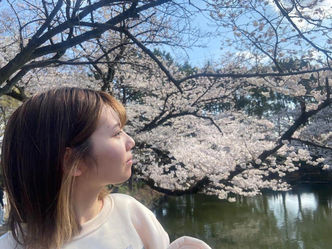 田辺奈菜美のインスタグラム：「桜と姉と甥っ子と🌸 #お花見#桜#満開だった時#いつかの写真」