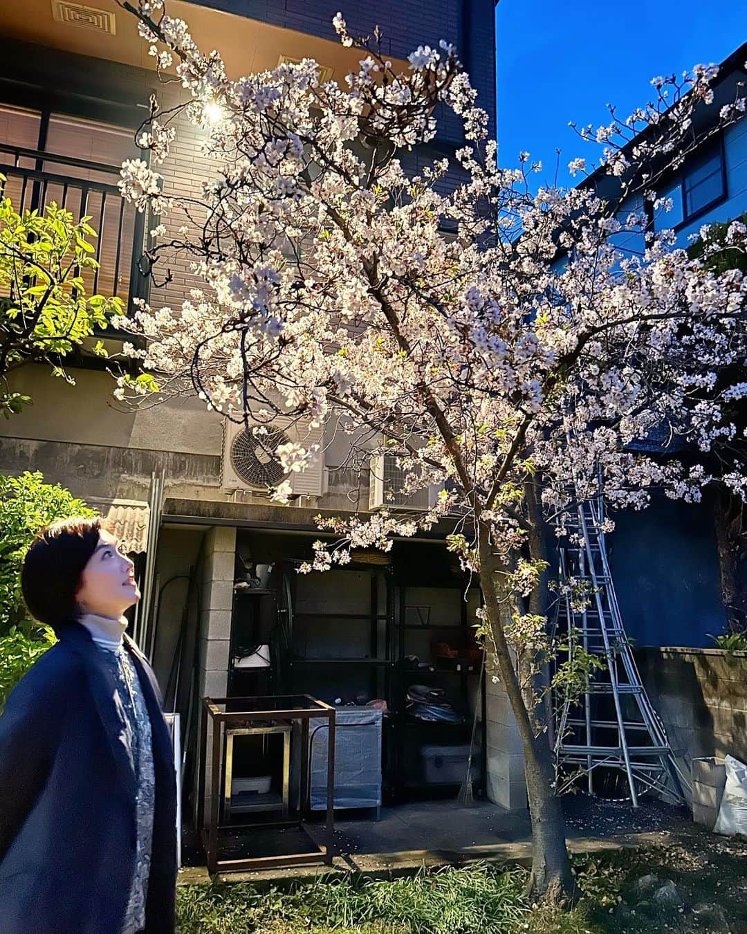 のインスタグラム：「今日はお友達、麻ちゃん邸でお花見。今月末競輪選手としてデビューするご子息の敬太郎くんです。小さい頃から本当に素敵な男の子でした。30日の宇都宮でのデビュー戦に行きたくて仕方ない衝動に駆られています🥹」