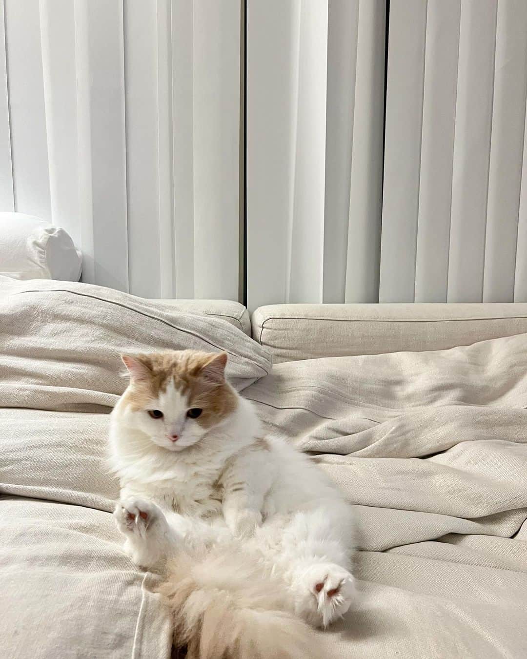 稲垣莉生のインスタグラム