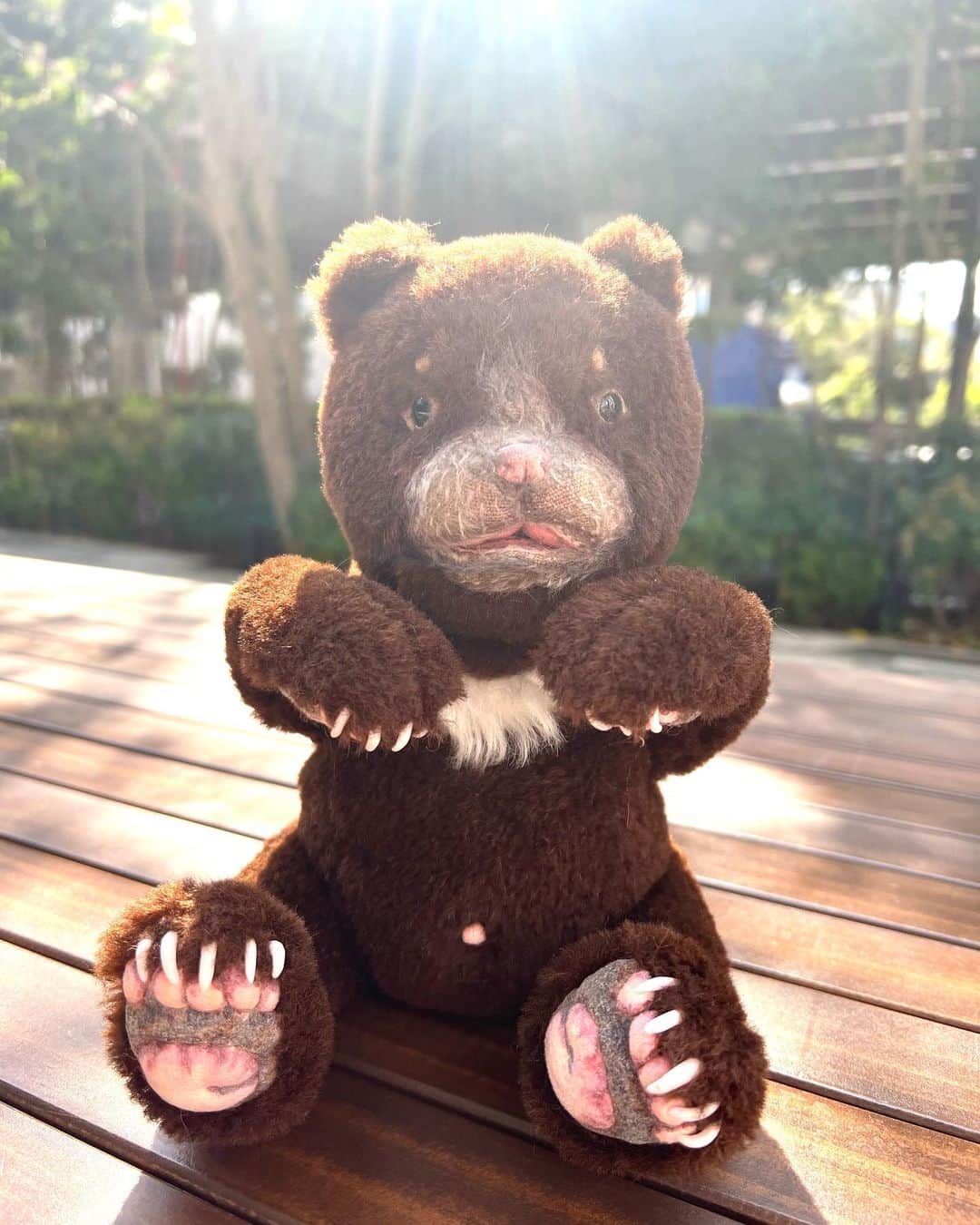 葉月祥子のインスタグラム：「『 世界にひとつのテディベア 』🤍 ⁡ ⁡ 今日は TeddyBearの祭典🌟 ⁡ 「  テディベアコンベンション 2023 」 ⁡ へ行ってきました♪ ⁡ ⁡ 小さな頃から大好きで、少しずつ大切にセレクションしているテディベア♡ ⁡ ⁡ Steiffなどの老舗テディベアブランドも大好きですが 私にとって  作家さんが想いを込めてつくる  世界にひとつしかいない 特別なテディベアも やっぱり大好きなのです🫶🏻💐✨ ⁡ ⁡ 今回一目惚れしてご縁を結べたのは、テディベア作家Omonui*B @omonui.b さんの ⁡ 『 月の輪グマ　ベビーブラウン 』 ⁡ のTeddybear🧸🤍 ⁡ 本物のツキノワグマの赤ちゃんと同じサイズで、爪や肉球、口やおへそまで✨ そして質の良いアルパカ毛でできています🦙 細部までリアルに、だけどリアルすぎない、可愛いらしいテディベア🐾 ⁡ オープンマウスで、口を開け閉めすることもできます♪ ⁡ ⁡(大きなリアルパディントンベアも素晴らしかったなぁ👏🏻🥰) ⁡ ⁡ 会場内は撮影禁止でしたので、 コンベンションの様子が気になる方は 日本テディベア協会 @teddybear_jtba のアカウントから見ることができます🧸🤍 ⁡ ⁡ コロナ以来、とても久しぶりに行けて嬉しかったぁ！ ⁡ 出展作家さんの創り出すテディベアは、どの子も本当に素晴らしく可愛いくて、沢山の愛を感じました！🥹💕 ⁡ コンベンションに参加された、全てのテディベアアーティストさんに拍手と感謝をお伝えしたいです👏🏻👏🏻🥲✨ ⁡ 今年も素晴らしいテディベアコンベンションを、本当にありがとうございました！👏🏻💐✨ ⁡  #久しぶりの趣味投稿 #祥コラム #しょこらむ  #大好きな #テディベア #テディベアコンベンション #テディベアコンベンション2023 #teddybear #myteddybear #japan #teddybearlove  #世界中にテディベアの愛を」