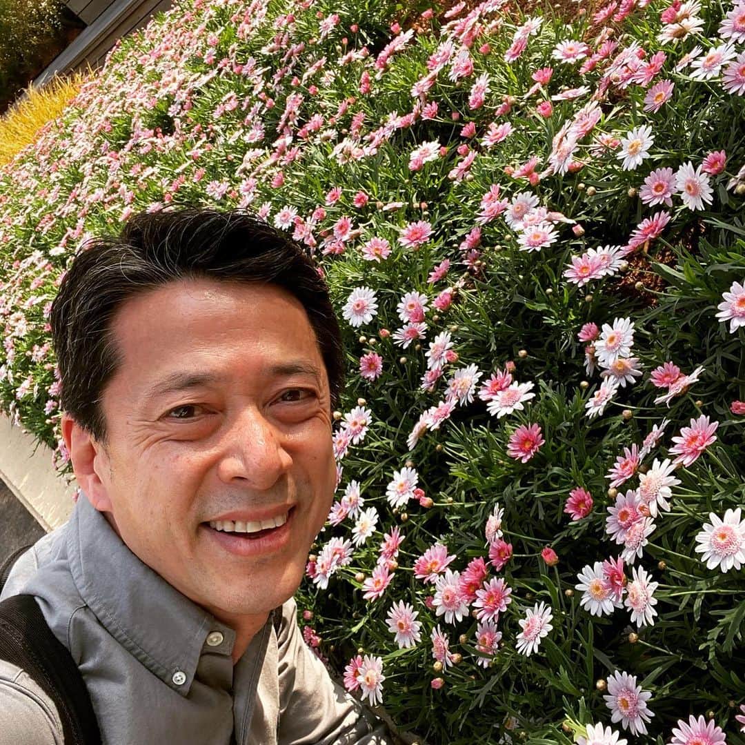 西川忠志さんのインスタグラム写真 - (西川忠志Instagram)「かわいい花🌸  今日もロケに出かけております。 綺麗な花が咲いています。 なんていう花かな？😊  ロケ終わりは 明日の神戸文化ホールにて公演の 吉本新喜劇のお稽古です。  大阪は今日も過ごしやすい いいお天気です。  感謝 西川忠志」4月1日 16時07分 - nishikawa_tada