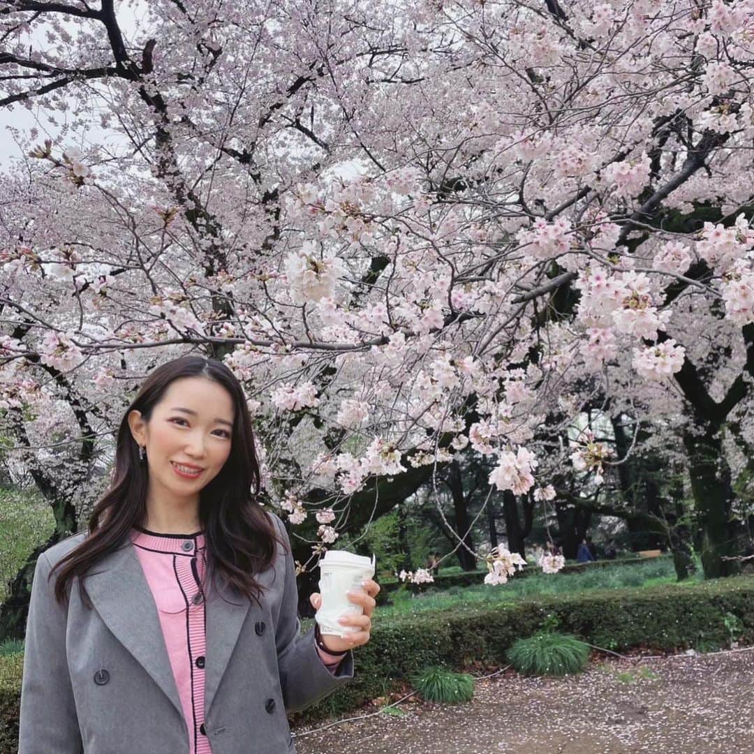 沢井美空さんのインスタグラム写真 - (沢井美空Instagram)「🌸」4月1日 16時17分 - mikusawai