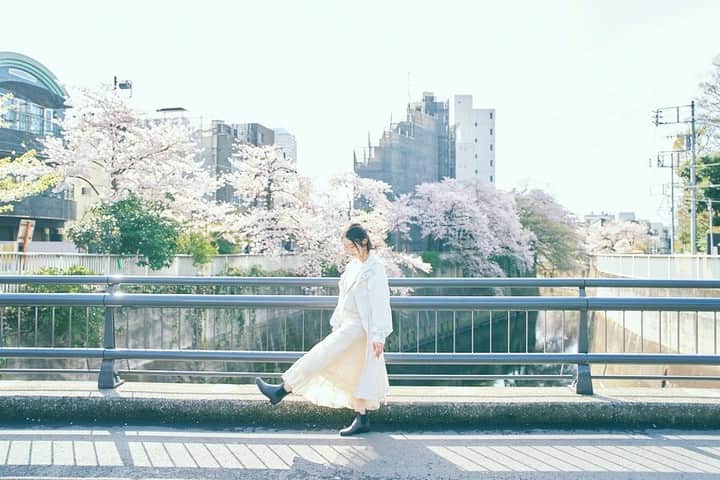 都丸ちよのインスタグラム：「🌸🌸🌸🌸🌸  photo by @158nkao」