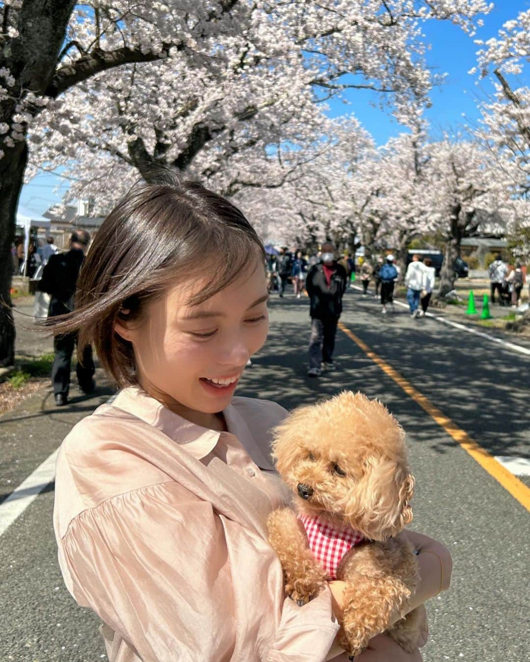 佐藤玲奈のインスタグラム