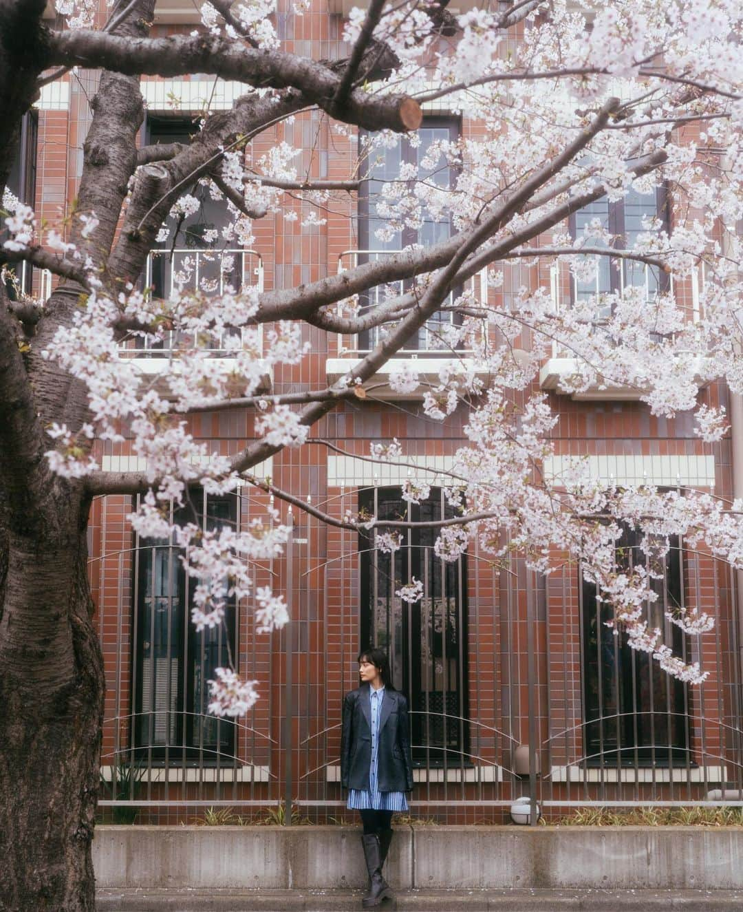 甲斐まりかさんのインスタグラム写真 - (甲斐まりかInstagram)「今日で、YouTube 2周年🌸🌸 今夜20時から久々の生配信します〜！今年も限定グッズ用意しました♡  1周年はスティッカープレゼントしたけど、今年はさらにパワーアップしちゃうかも。 お楽しみに〜！😎😎😎」4月1日 16時39分 - mari_ka95