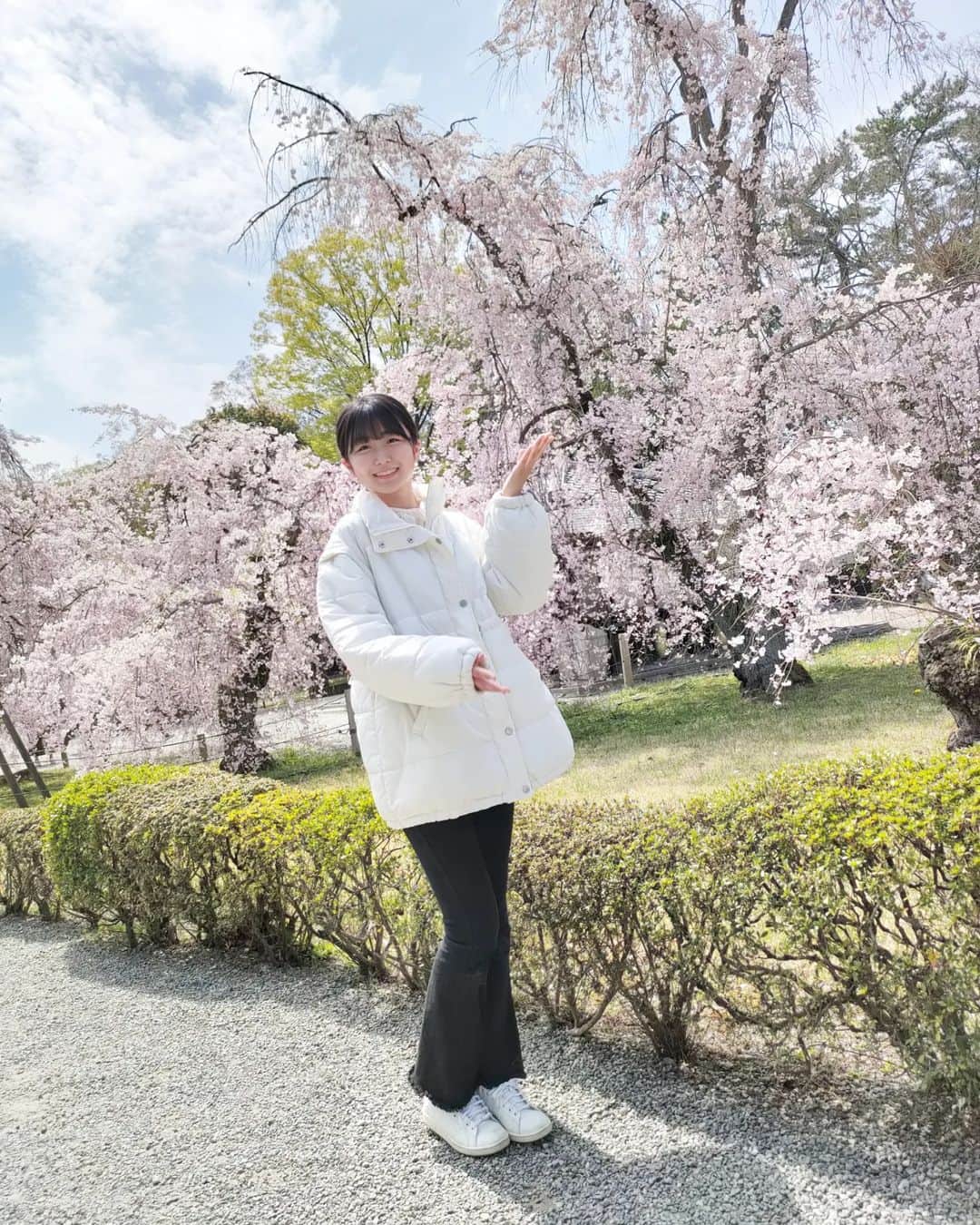 西川実花さんのインスタグラム写真 - (西川実花Instagram)「昨日の正解は…　  京都でした！🍵🏯⛩️👘✨←（京都っぽい絵文字探してみました笑 当たってる方が多くてびっくりしました😂  初めての京都で、桜がすごく綺麗でした☺️🌸🌸🌸✨✨ 色々なところへ行ったので京都写真投稿続きます⭐⛩️🏯　  #08#モデル志望#女優志望#桜#cherryblossom#🌸#京都#kyoto#japanese#japan#spring」4月1日 16時51分 - mika_nishikawa_