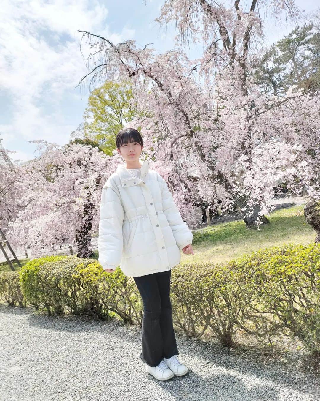 西川実花さんのインスタグラム写真 - (西川実花Instagram)「昨日の正解は…　  京都でした！🍵🏯⛩️👘✨←（京都っぽい絵文字探してみました笑 当たってる方が多くてびっくりしました😂  初めての京都で、桜がすごく綺麗でした☺️🌸🌸🌸✨✨ 色々なところへ行ったので京都写真投稿続きます⭐⛩️🏯　  #08#モデル志望#女優志望#桜#cherryblossom#🌸#京都#kyoto#japanese#japan#spring」4月1日 16時51分 - mika_nishikawa_