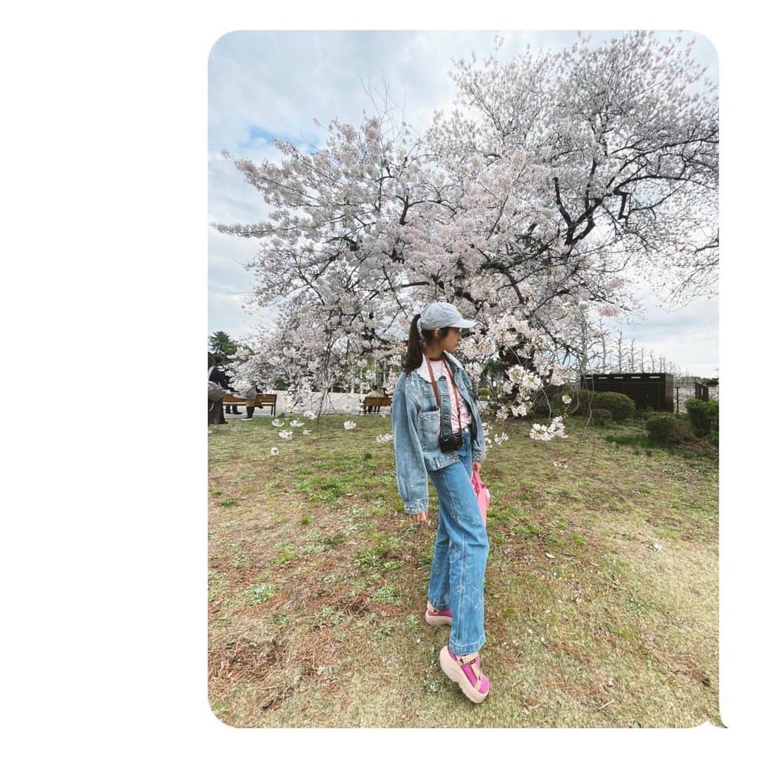 恒松祐里さんのインスタグラム写真 - (恒松祐里Instagram)「🌸 わかなとお花見しました🌸 お料理上手なわかながお弁当を作って来てくれて、 レジャーシートの上でのんびりピクニックお花見🧺🍃 今年は沢山桜が見れたなぁ☺️」4月1日 16時57分 - yuri_tune