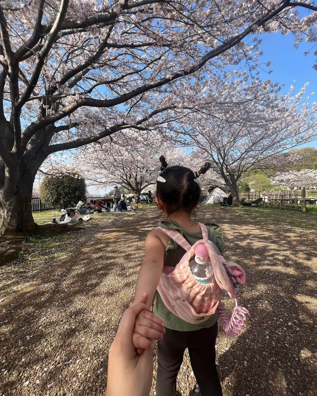 8utterflyさんのインスタグラム写真 - (8utterflyInstagram)「Cherry blossoms  桜のある国に生まれて🌸  4家族でワイワイ✨  #行楽弁当 #cherryblossom」4月1日 17時25分 - 8utterfly