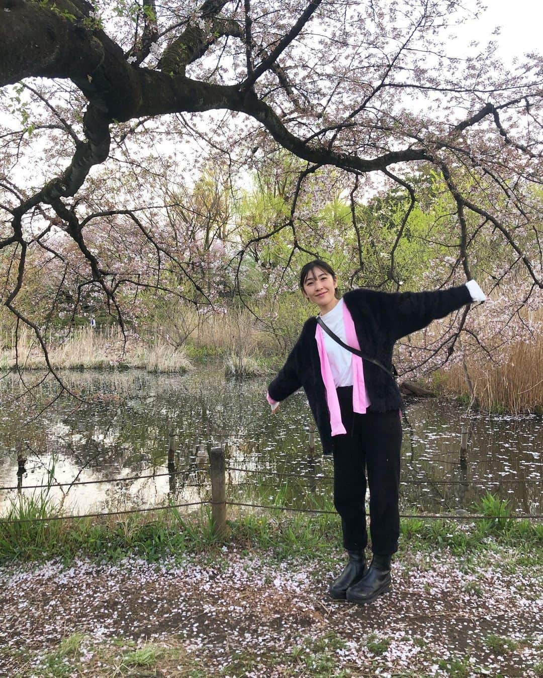川口花乃子のインスタグラム：「月イチでピクニックしよう🌸  #桜吹雪 #cherryblossom」