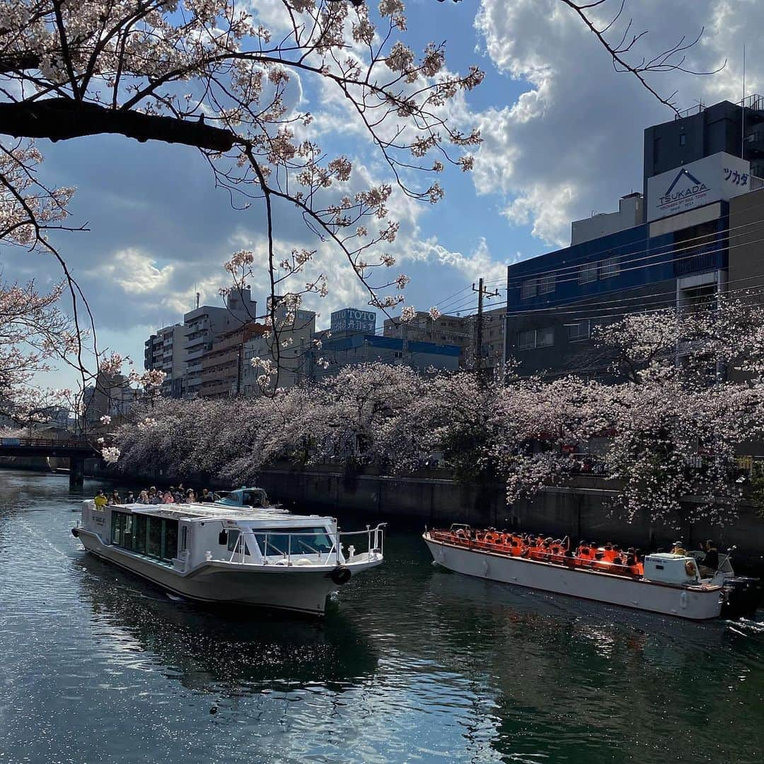 石橋遼大のインスタグラム