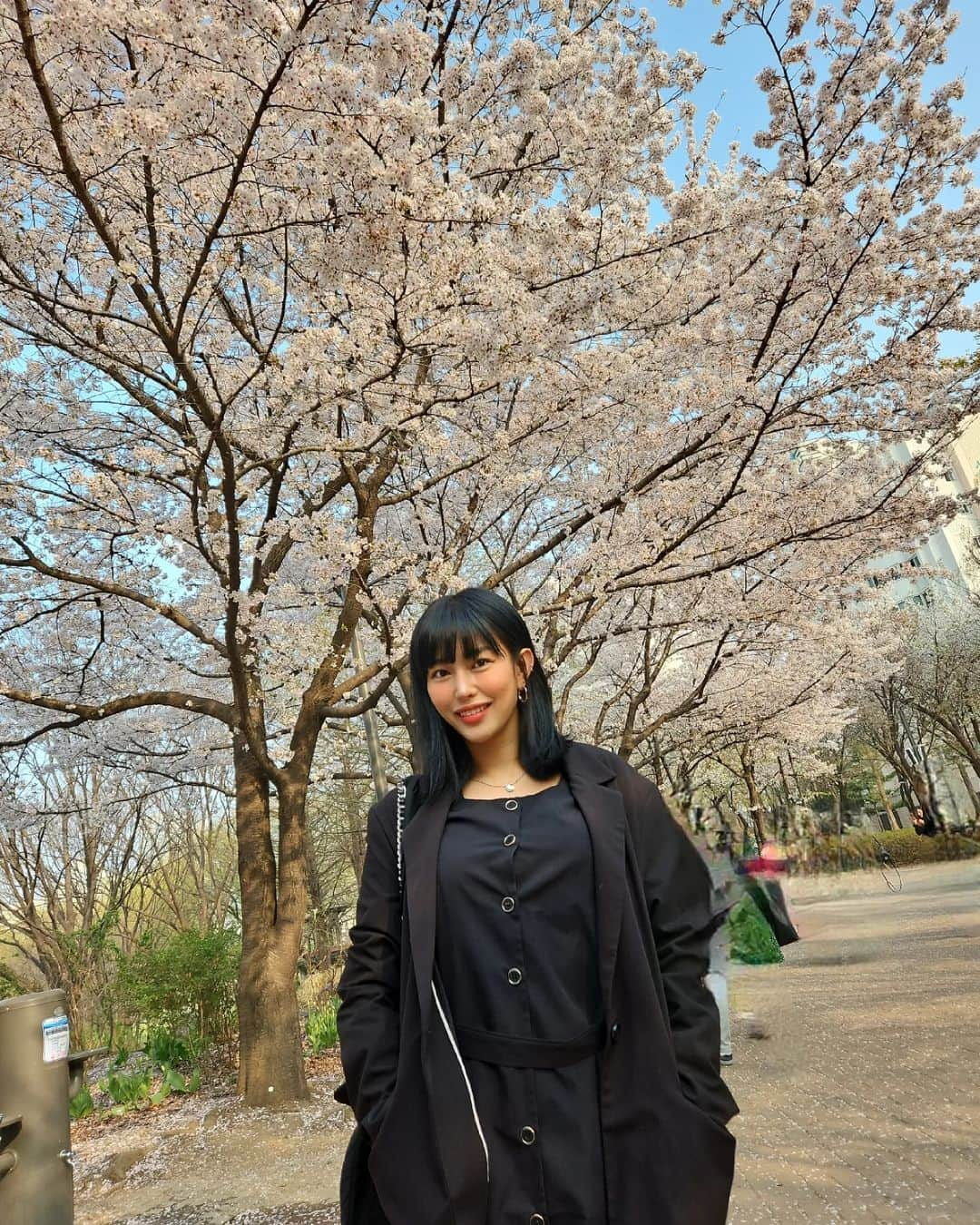 エナ さんのインスタグラム写真 - (エナ Instagram)「거짓말처럼 벚꽃구경🌸 #다망해라 #🌸 #봄」4月1日 17時39分 - eunkyung.shin