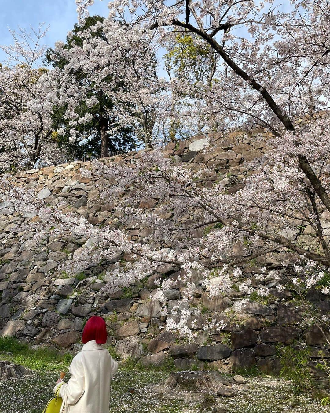 AMIさんのインスタグラム写真 - (AMIInstagram)「Spring has come🌸 My most favorite season 春 1番好きな季節はこの先もずっと変わらないネ。 #spring」4月1日 17時39分 - amixxamiaya
