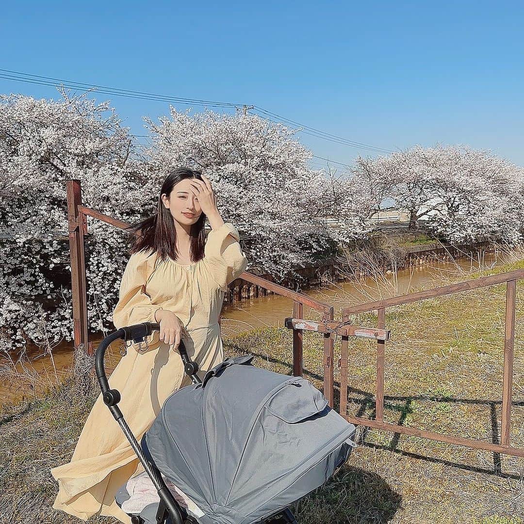井口眞緒さんのインスタグラム写真 - (井口眞緒Instagram)「新潟にも桜が咲いたのでお花見をしてきました🌸  眩しくて目が開けられないくらい良いお天気でした！ (写真が全部半目📸笑)  明日からは東京に帰ってほぼワンオペ生活が始まります👶  産後3ヶ月間、何もかもお母さんに頼ってたので 明日からはお風呂も洗濯もご飯も片付けも全部1人でやるなんてゾッとしますが…  世の中のお母さんたちを見習って私も頑張ります🥺  これにて私の里帰り終了🫶🏻  #井口眞緒 #すごぼりの桜並木 #お花見 #お花見スポット #新米ママ #新米ママと繋がりたい #新米ママさんと繋がりたい #新米主婦 #女の子ママ #女の子ベビー #生後3ヶ月 #0歳 #0歳児ママ」4月1日 17時40分 - iguchi.mao