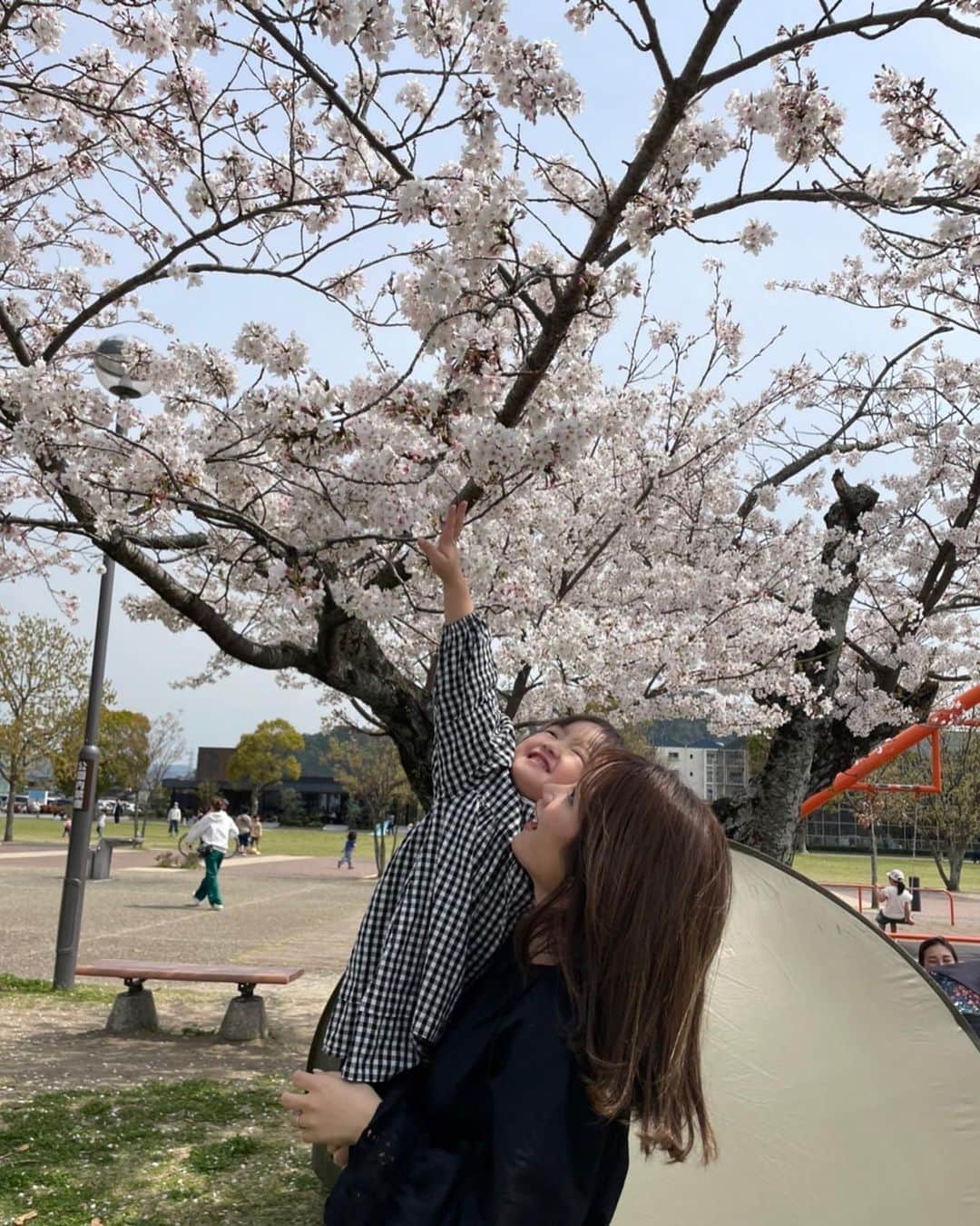 畠中清羅 さんのインスタグラム写真 - (畠中清羅 Instagram)「_  今年はもう花見予定なかったけど なんだかんだ今日も明日も見れそう🌸  元気いっぱいに咲いてる桜は 元気をもらえますね🙋‍♀️  お花で四季を感じられて幸せ🤍  日中は暑くなってきたので 水分補給を忘れずに✍️  #3歳#女の子#女の子ママ#親子」4月1日 17時43分 - seira_hatanaka