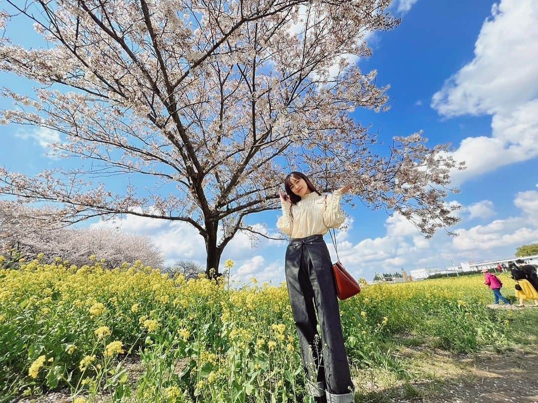 山口乃々華さんのインスタグラム写真 - (山口乃々華Instagram)「菜の花、桜！ 春です。4月です🐱」4月1日 17時53分 - yamaguchi_nonoka_official