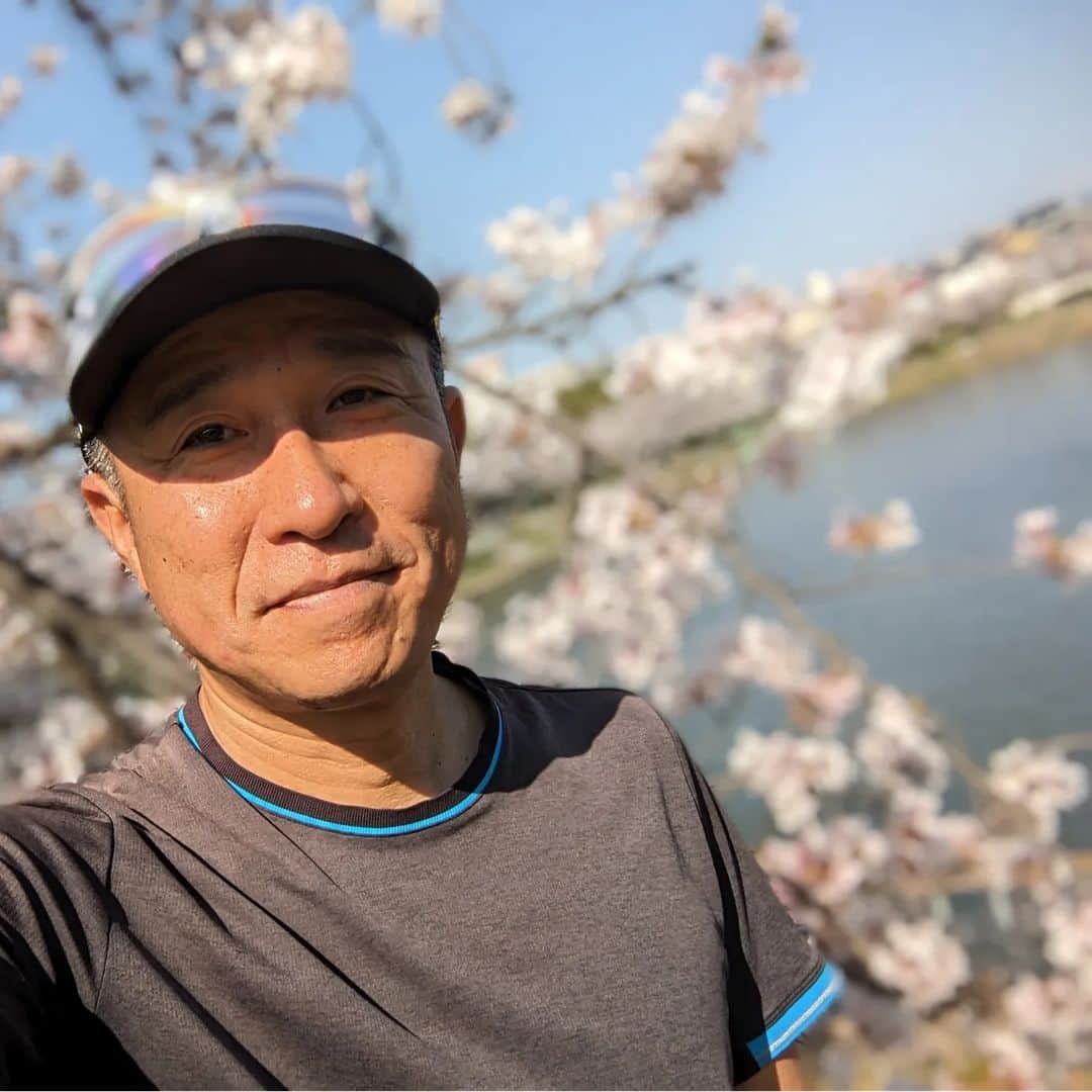 佐藤裕二さんのインスタグラム写真 - (佐藤裕二Instagram)「きょうは半袖でちょうど良い陽気でしたね。 桜も週末まで持ってくれました🌸  花見に行った方も多いのではないでしょうか。 良い週末をお過ごしください。  #桜#ソメイヨシノ#名古屋の春  #ジョギング#ランニング#ランニング花見  #メーテレ#アナウンサー#佐藤裕二  #自撮りおじさん」4月1日 17時55分 - karaage_satou