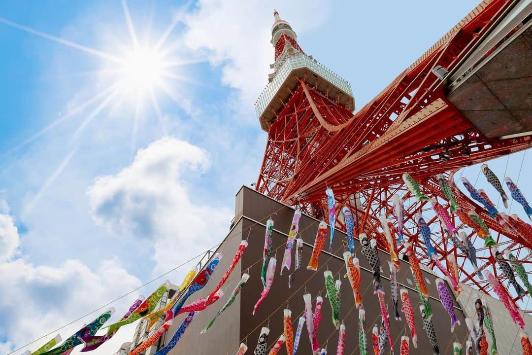 東京タワーさんのインスタグラム写真 - (東京タワーInstagram)「. 東京タワーでは、春の風物詩！ 「東京タワー333匹の鯉のぼり」が 装飾されています🎏   鯉のぼりの由来って みなさん知っていますか！？   江戸時代、日本では将軍に男の子が生まれると 旗や幟（のぼり）を立てて祝う風習があり、 これを武家が真似をして、 そして庶民が真似をして、 どうせなら立身出世のシンボルである 鯉を幟（のぼり）にしてしまおうということで 鯉のぼりが生まれたそうです！   そして！   333匹の鯉のぼりの中には、 40匹の“セサミストリート鯉のぼり"が泳いでいます。   お子様の成長を願った333匹の鯉のぼり🎏 お気に入りの鯉のぼりを、探してみてくださいね！   セサミストリート×東京タワーの 初コラボイベント「We Belong」は 5月7日（日）まで開催中！   イベントの詳細は プロフィールのリンクにある Official HPからご覧ください↓↓↓ @tokyotower_official  #東京タワー #東京タワー🗼 #tokyotower #tokyotower🗼  #鯉のぼり  #鯉のぼり🎏」4月1日 18時06分 - tokyotower_official