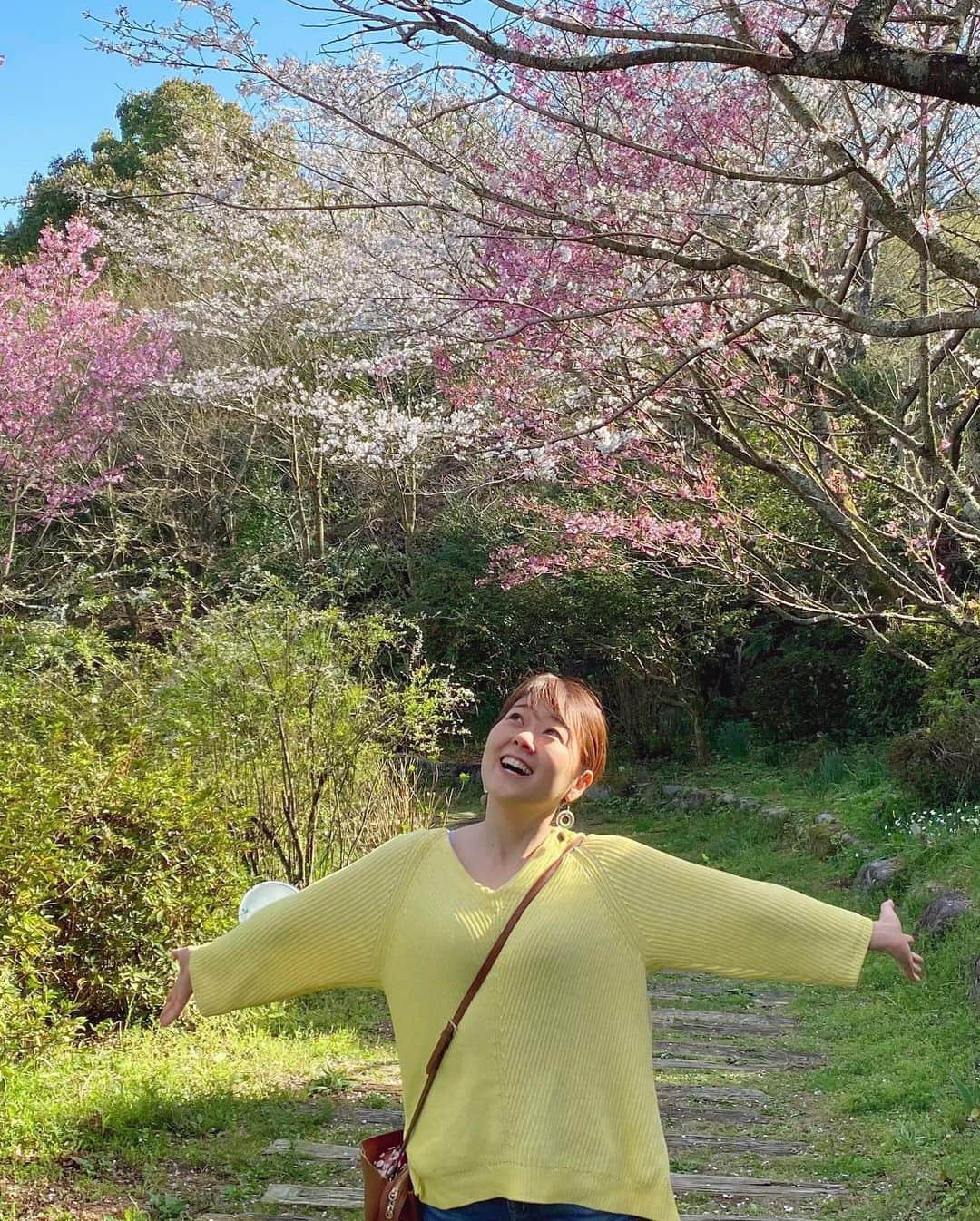 滝香織さんのインスタグラム写真 - (滝香織Instagram)「. . 久しぶりに西条のカフェ#櫻櫻 さんに行ってきました✨ @sakura.sakura.2  桜の頃に行ってみたいとずっと思っていて、ようやく伺うことができました😆  櫻もカレーもスイーツも大満喫😋 ヤギのサクとハナにも会えて楽しい時間でした♪  #櫻2  #桜 #桜スポット #桜満開 #カフェ #カレー #愛媛カレー #愛媛カフェ #西条カフェ」4月1日 18時07分 - kaorin_taki