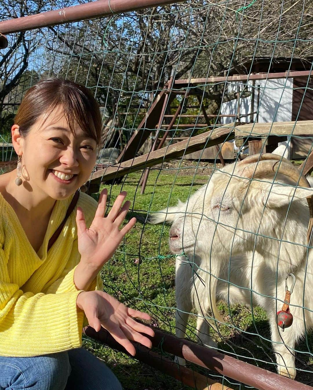 滝香織さんのインスタグラム写真 - (滝香織Instagram)「. . 久しぶりに西条のカフェ#櫻櫻 さんに行ってきました✨ @sakura.sakura.2  桜の頃に行ってみたいとずっと思っていて、ようやく伺うことができました😆  櫻もカレーもスイーツも大満喫😋 ヤギのサクとハナにも会えて楽しい時間でした♪  #櫻2  #桜 #桜スポット #桜満開 #カフェ #カレー #愛媛カレー #愛媛カフェ #西条カフェ」4月1日 18時07分 - kaorin_taki