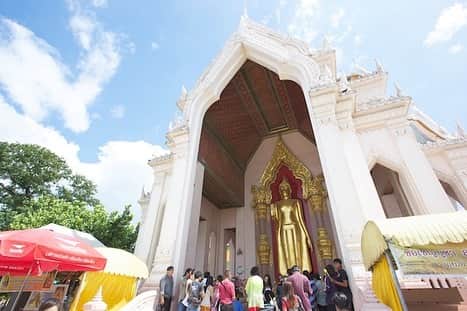 タイ国政府観光庁さんのインスタグラム写真 - (タイ国政府観光庁Instagram)「. ༉‧₊˚ 🇹🇭わざわざ行きタイ旅！ ⠀ ⋯⋯⋯⋯⋯⋯⋯⋯⋯⋯⋯⋯✈  毎週土曜日は、まだあまり知られていないタイのスポットをご紹介♪   今回は仏教伝来の町・ナコーンパトムの「プラ・パトム・チェディ」へ✨  バンコクから西に約55kmの場所に位置する、ナコーンパトム県🕊 ここはインドシナ半島のなかでも、インドからの僧よりお釈迦様の教えが最初にもたらされた、仏教伝来の町として知られています🙏  そんなナコーンパトムにあるのが、世界最大級の黄金の仏塔、プラ・パトム・チェディ✨ 高さは約120.45mもあり、釣り鐘型の形状が特徴です💨  3世紀頃、インドのアショーカ王によって建立されたこの仏塔は、クメール時代に入るとビルマ風に改修され、その後ラーマ4世、ラーマ5世の命により今の姿となりました😌  バンコクから日帰りで訪れることができる人気の観光地のひとつです💁‍♀️  ☆「行ってみたい！」：いいね❤をタップ ★「参考になった！」：保存ボタン🔖をタップ  #タイ #ナコーンパトム #プラパトムチェディ #仏塔 #タイ寺院 #タイお寺巡り #お寺巡り #歴史的建造物 #秘境 #世界最大の仏塔 #こんなタイ知らなかった #もっと知りタイ #はじめてのタイ #タイ旅行 #ナコーンパトム旅行 #旅好きな人と繋がりたい #旅行好きな人と繋がりたい #海外旅行 #thailand #nakhonpathom #nakhonpathomtrip #phrapathomchedi #chedi #pagoda #amazingthailand #thailandtravel #thailandtrip #thaistagram #lovethailand #amazingnewchapters」4月1日 18時07分 - amazingthailandjp