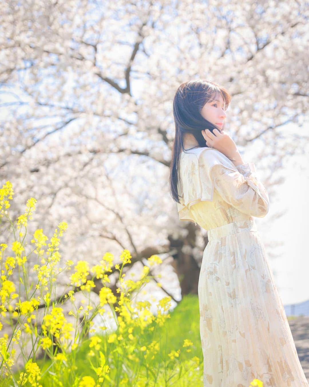 ちかちゃのインスタグラム：「. 4月だ！！ はやい。 . . . photographer: @sak1photo #さきふぉと専属モデル #portrait #ポートレート #桜 #さくら #菜の花」