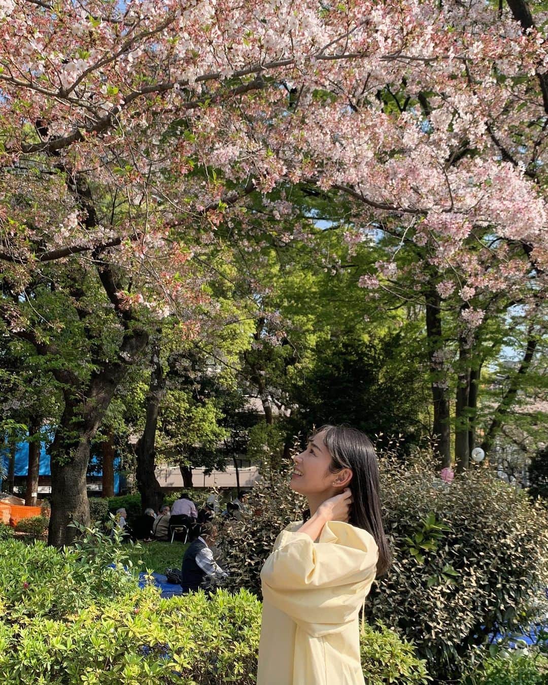 二宮綾海のインスタグラム：「🌸🌸🌸 満開の桜の下でみんなでお花見🤍  満開の桜🌸も ボクが朝から一生懸命作ったお弁当👦🏻も 最高でした🕊  #お花見 #春爛漫 #パグスタグラム  #今日から #4月 #ですね♪」