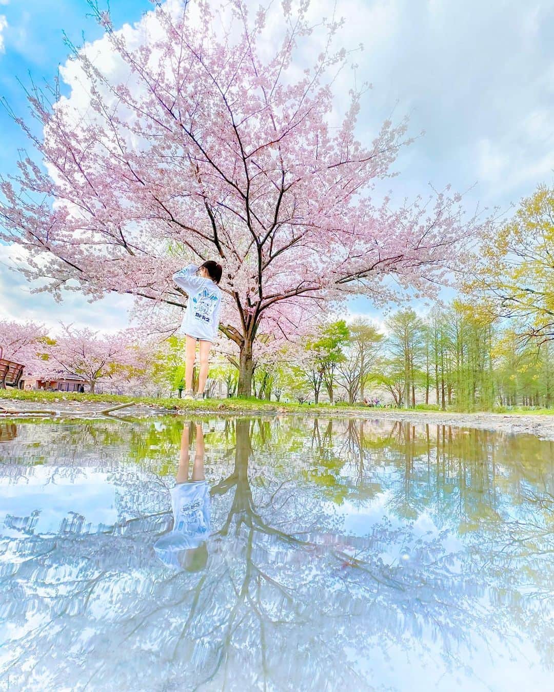 日比ゆりのインスタグラム：「✩  近くの公園をお散歩しました🌸 水たまりで綺麗なお写真撮ってもらった💧✨  .」